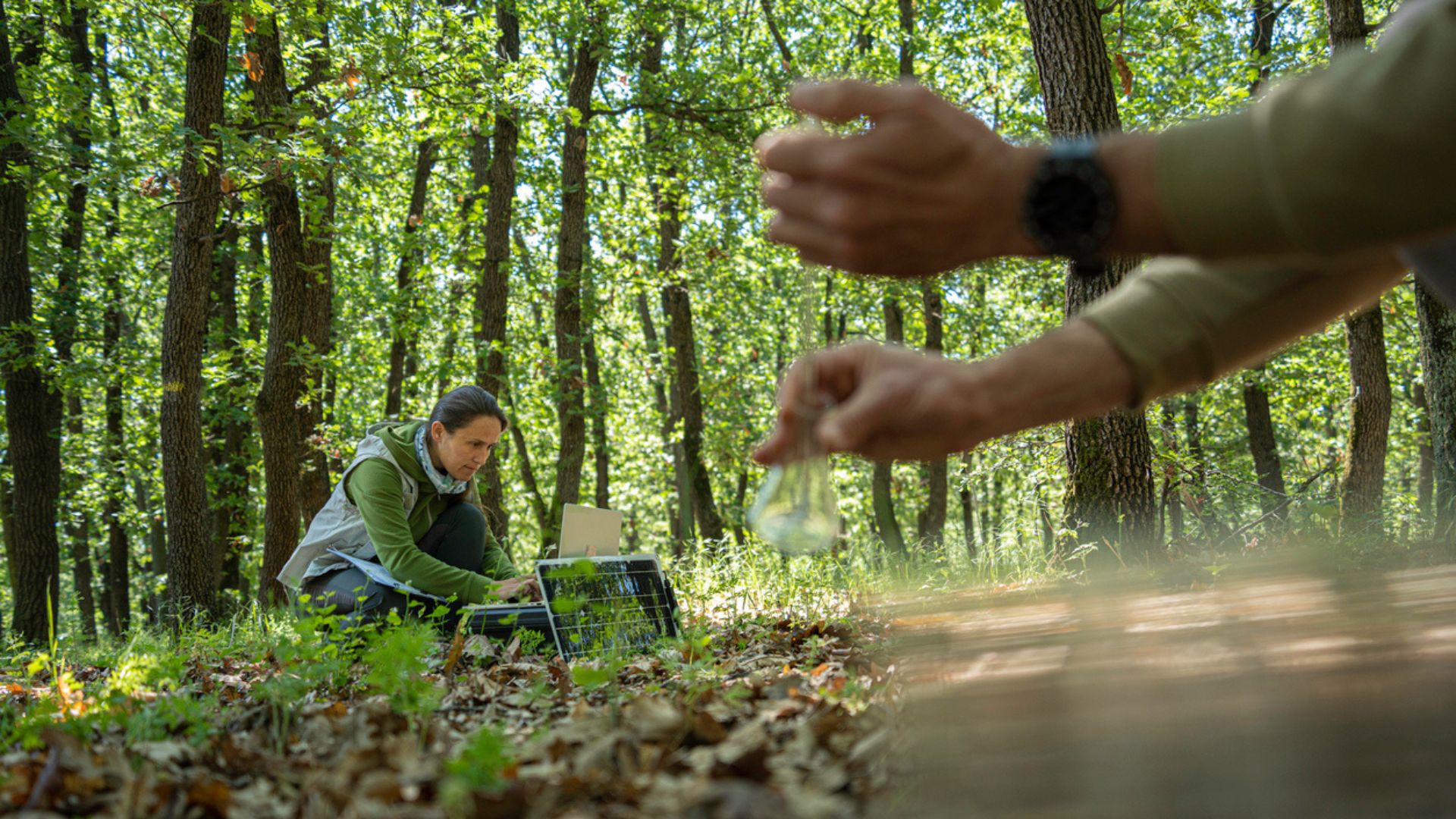 US scientists use machine learning for real-time crop disease alerts