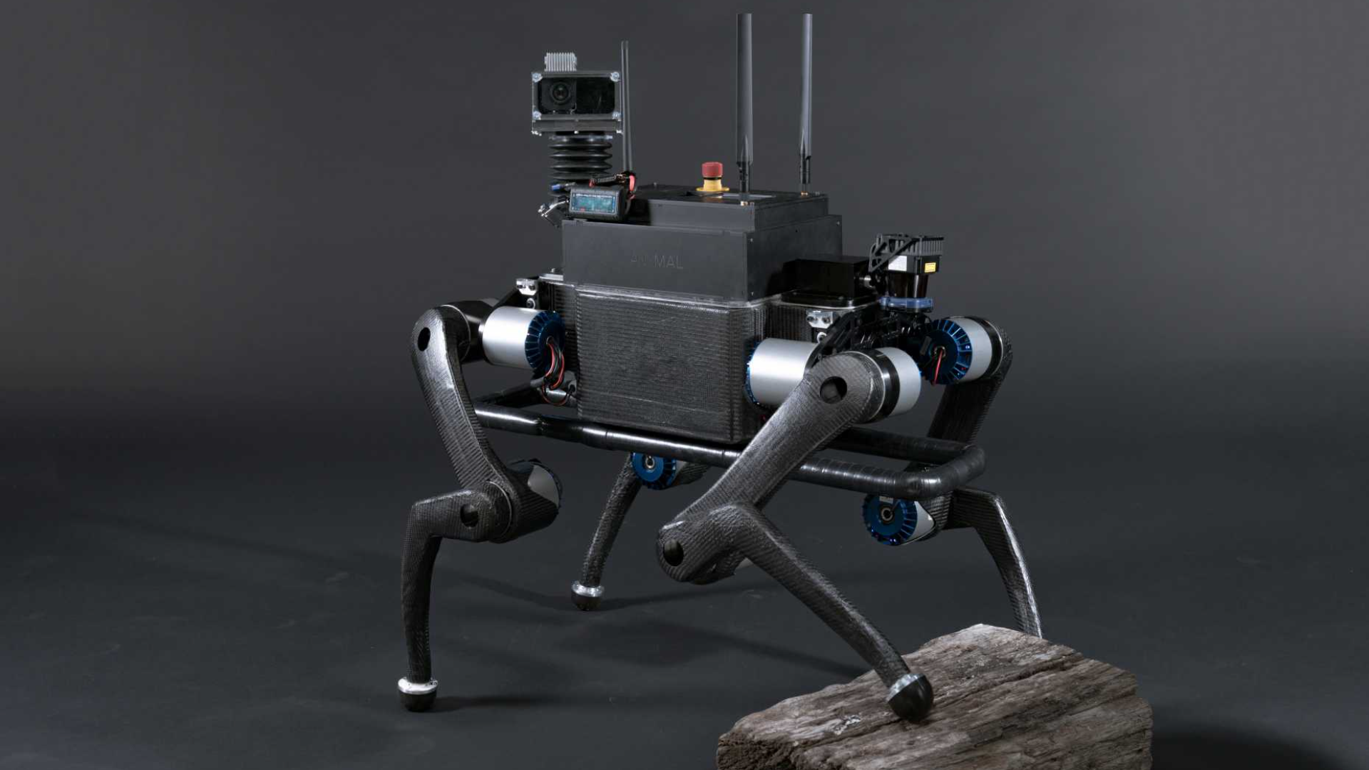 Chó robot Thụy Sĩ giờ đây có thể nhặt và ném bóng chính xác như con người.