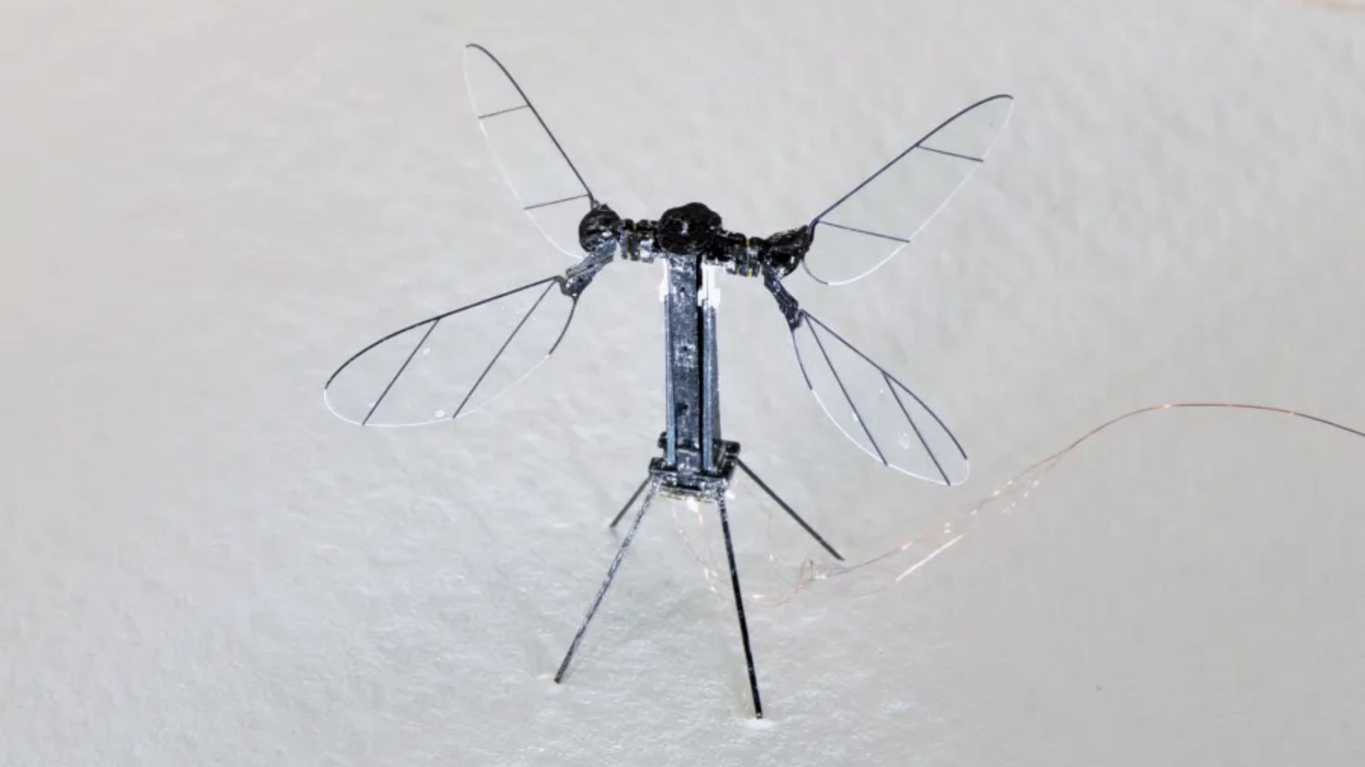 Chinese military unveils mosquito-sized drones for battlefield missions