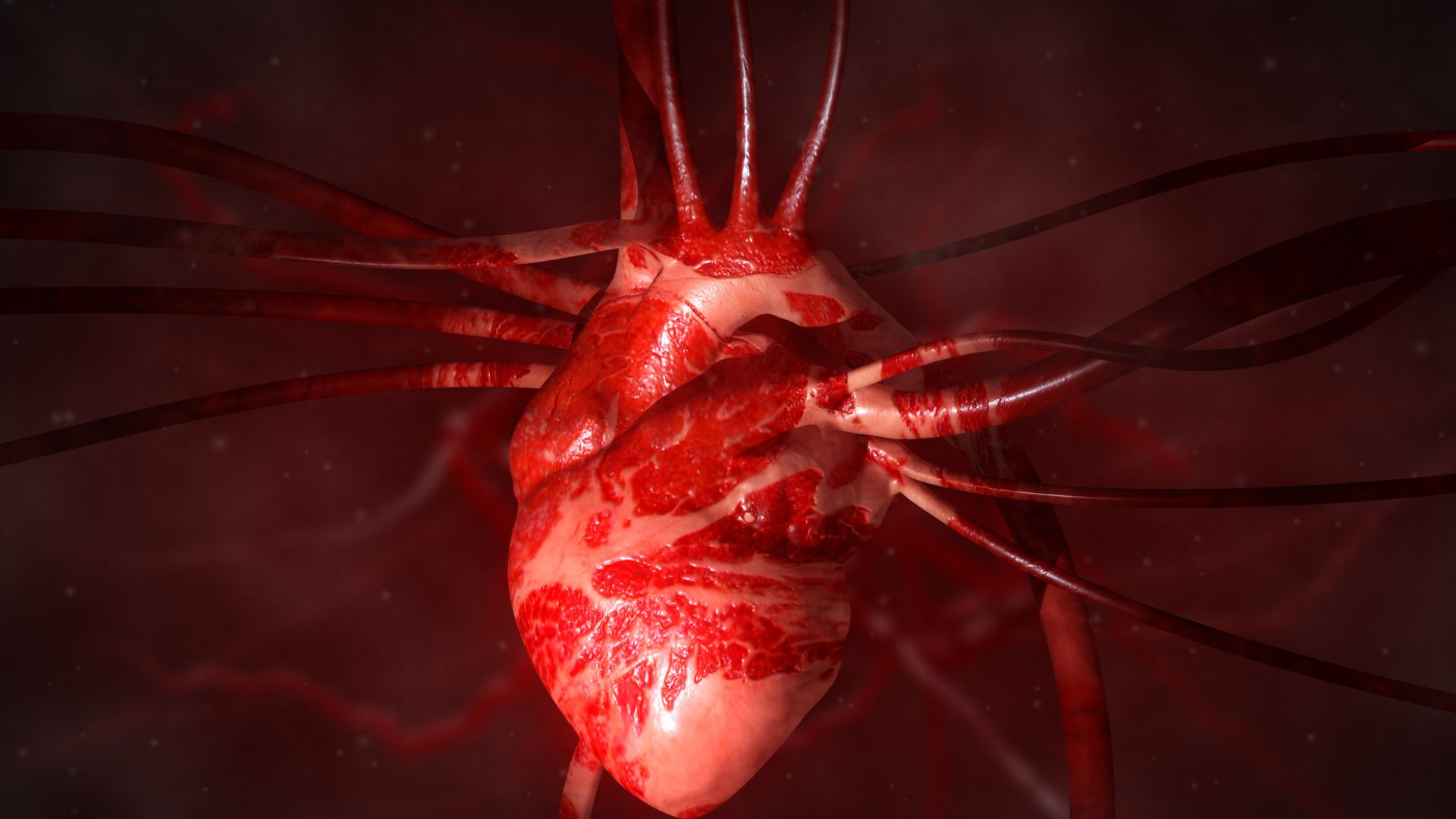 World-first: Chinese scientists grow human heart tissue in pig embryo, beats for 21 days