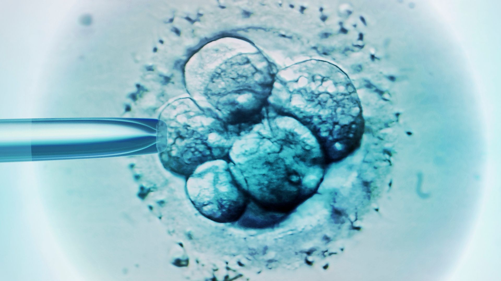 Regno Unito: 8 bambini nati senza malattie ereditarie grazie alla fecondazione in vitro