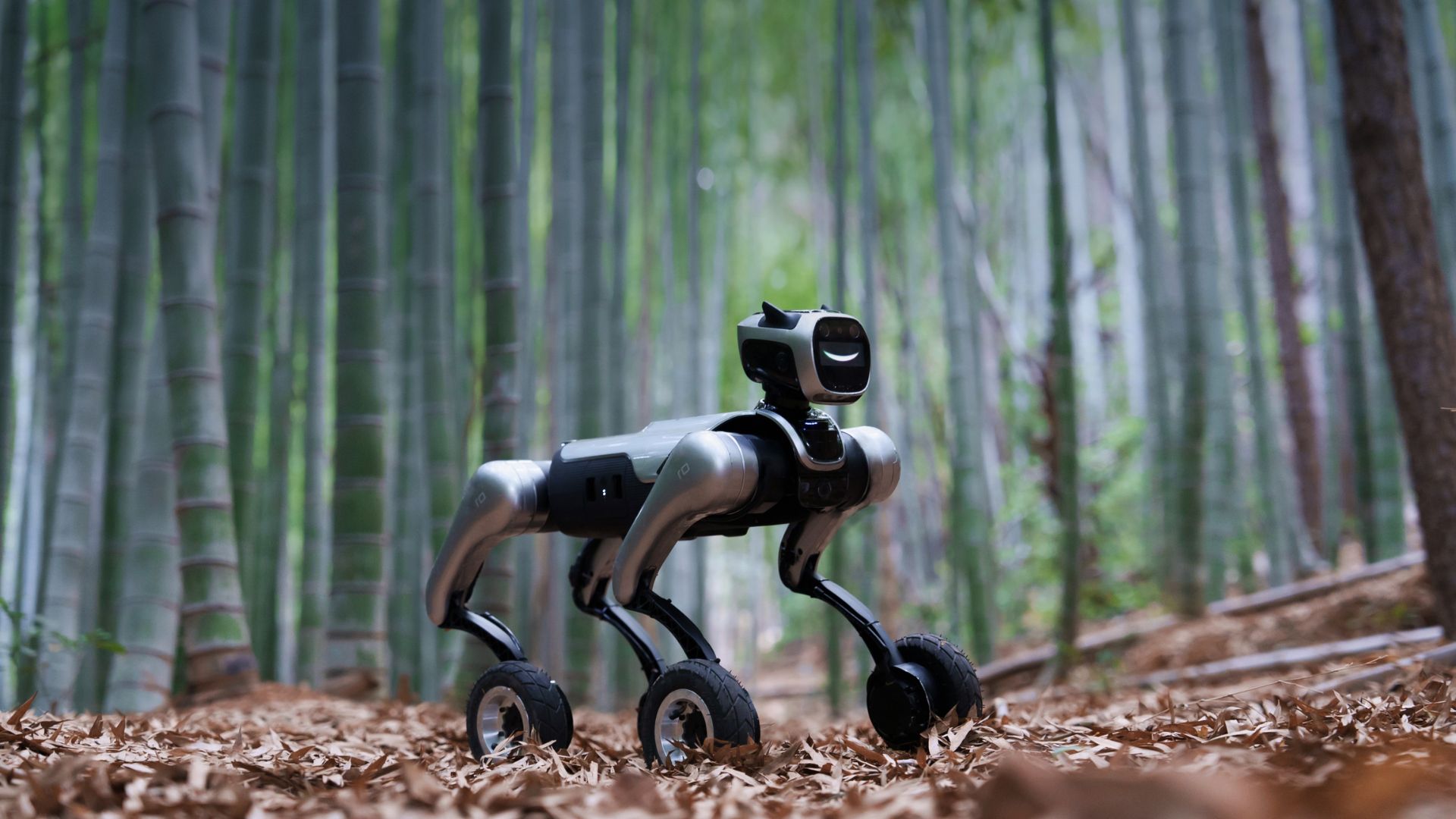 China’s latest robot dog performs flips, handstands, tough climbs