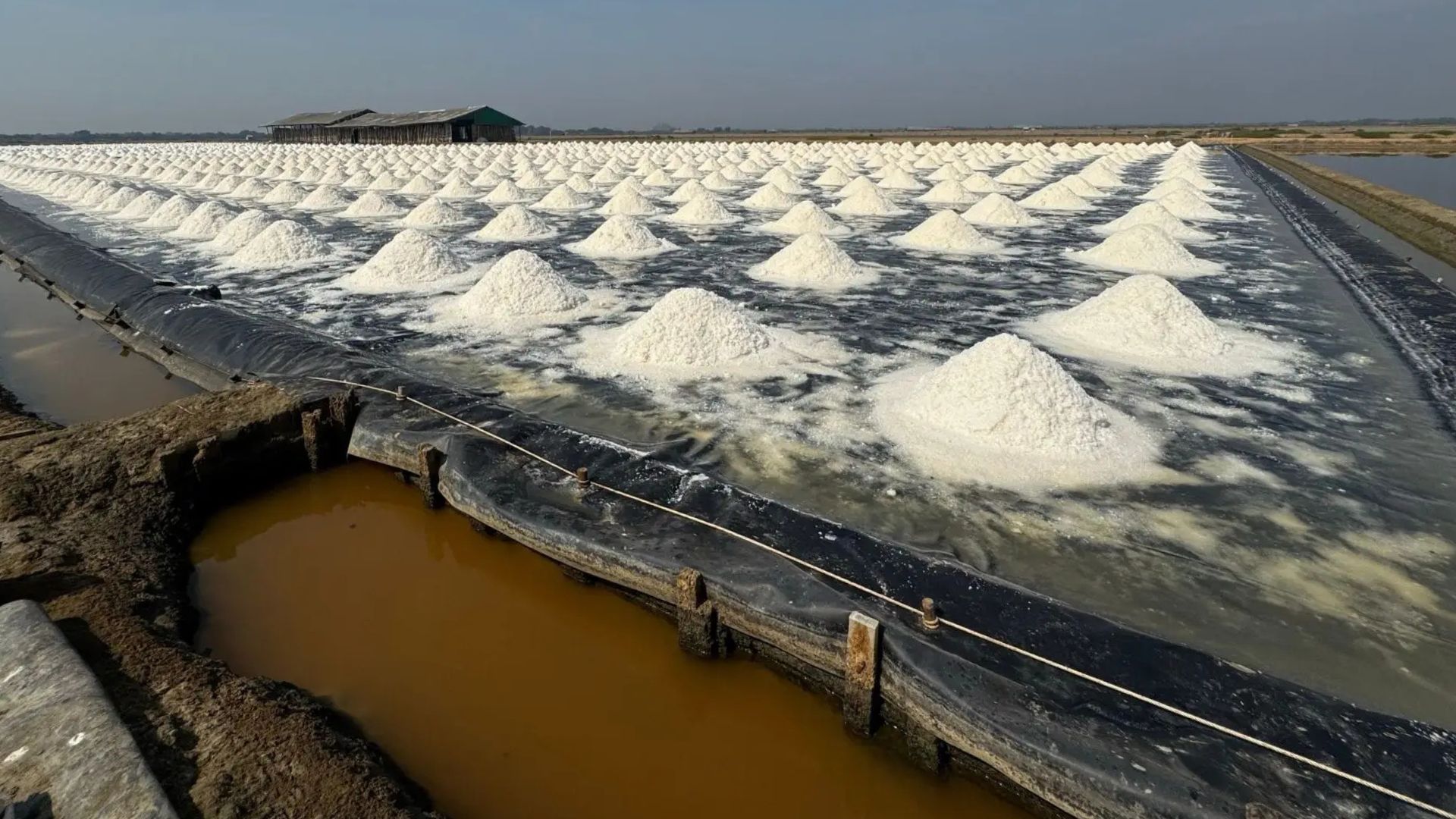 World’s first sun-powered thermal desalination tech extracts lithium