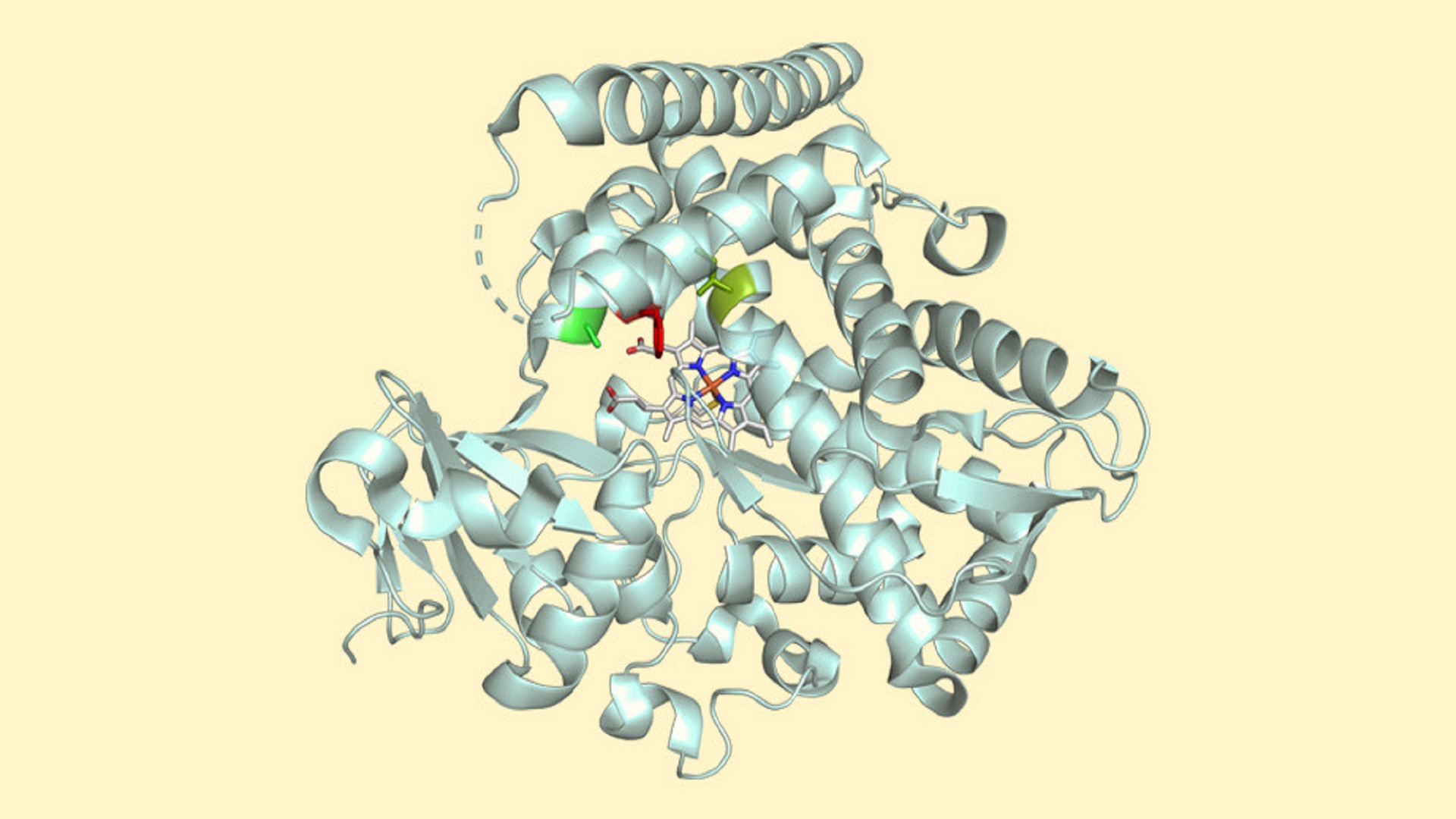 New enzyme trick could slash chemical waste in drug production