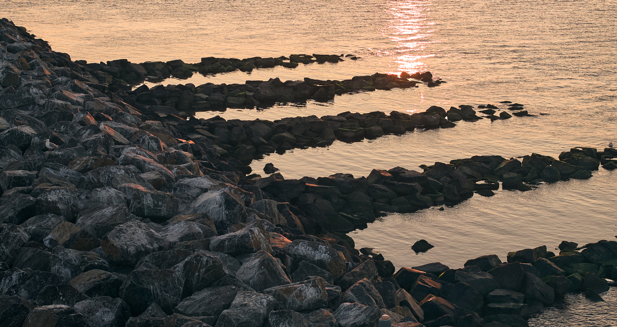 Reef Ridges How engineers are reinventing coastal protection