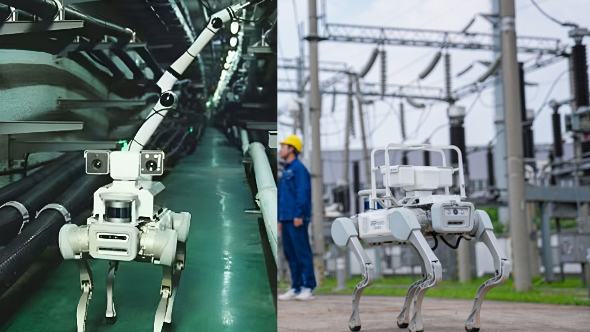 China: 'World’s first' robot dog–patrolled wind farm runs human-free