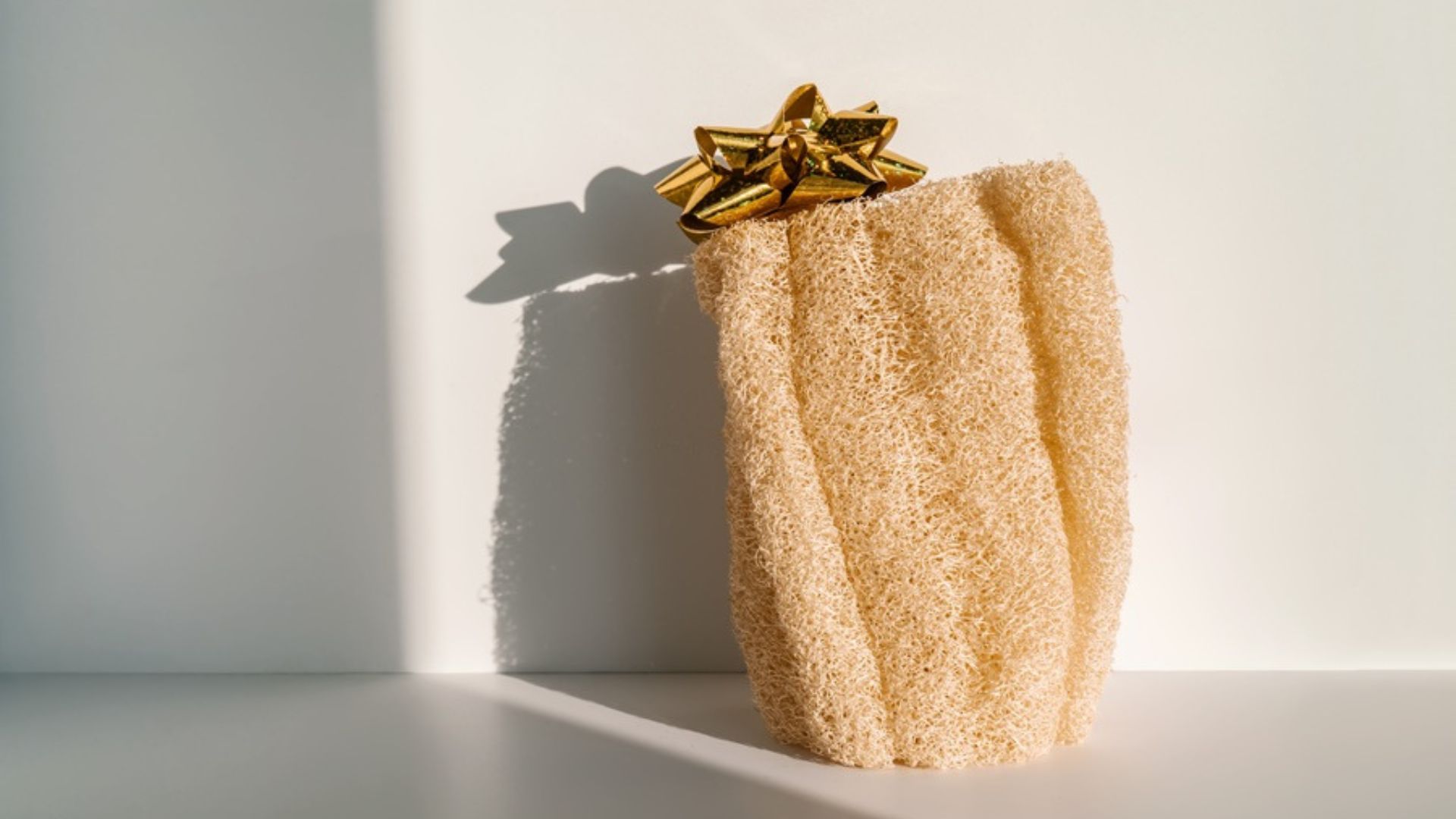 New loofah-like polymer kills viruses, stronger than plastic