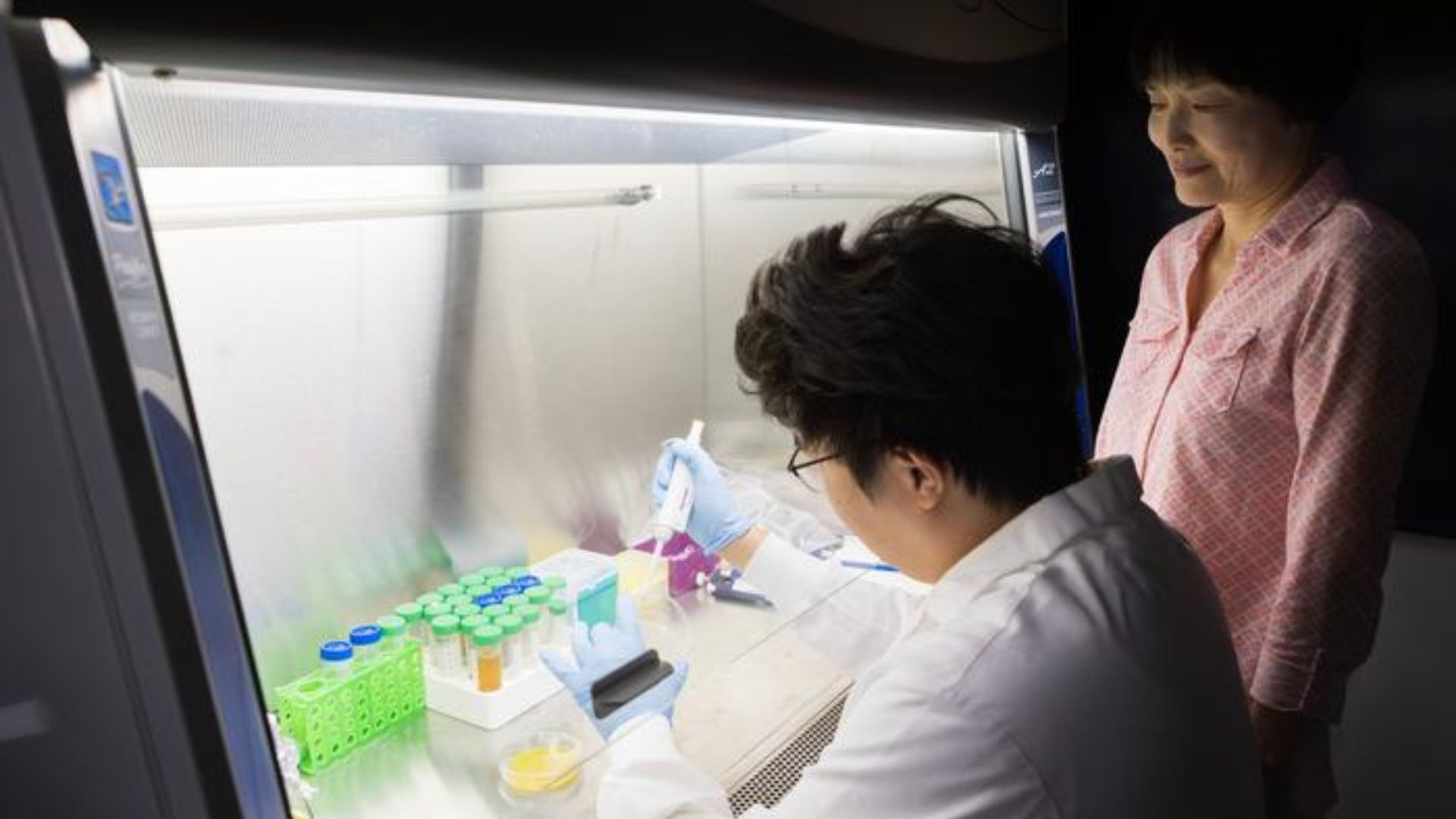New method converts food waste into plastic and organic fertilizer