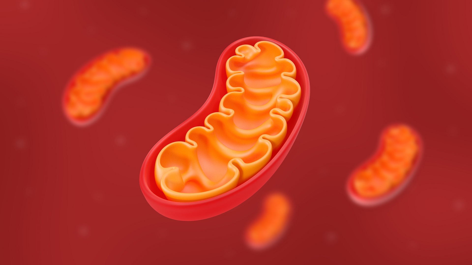 Damaged DNA no more? Scientists build shield for mitochondria