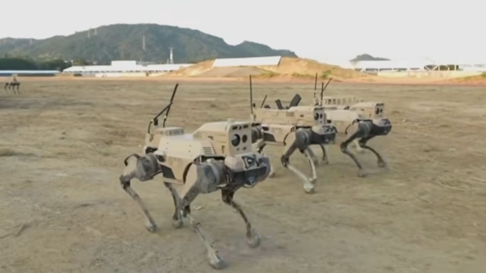 China's 'robot wolves' fire rifles, climb ladders, and hunt in packs