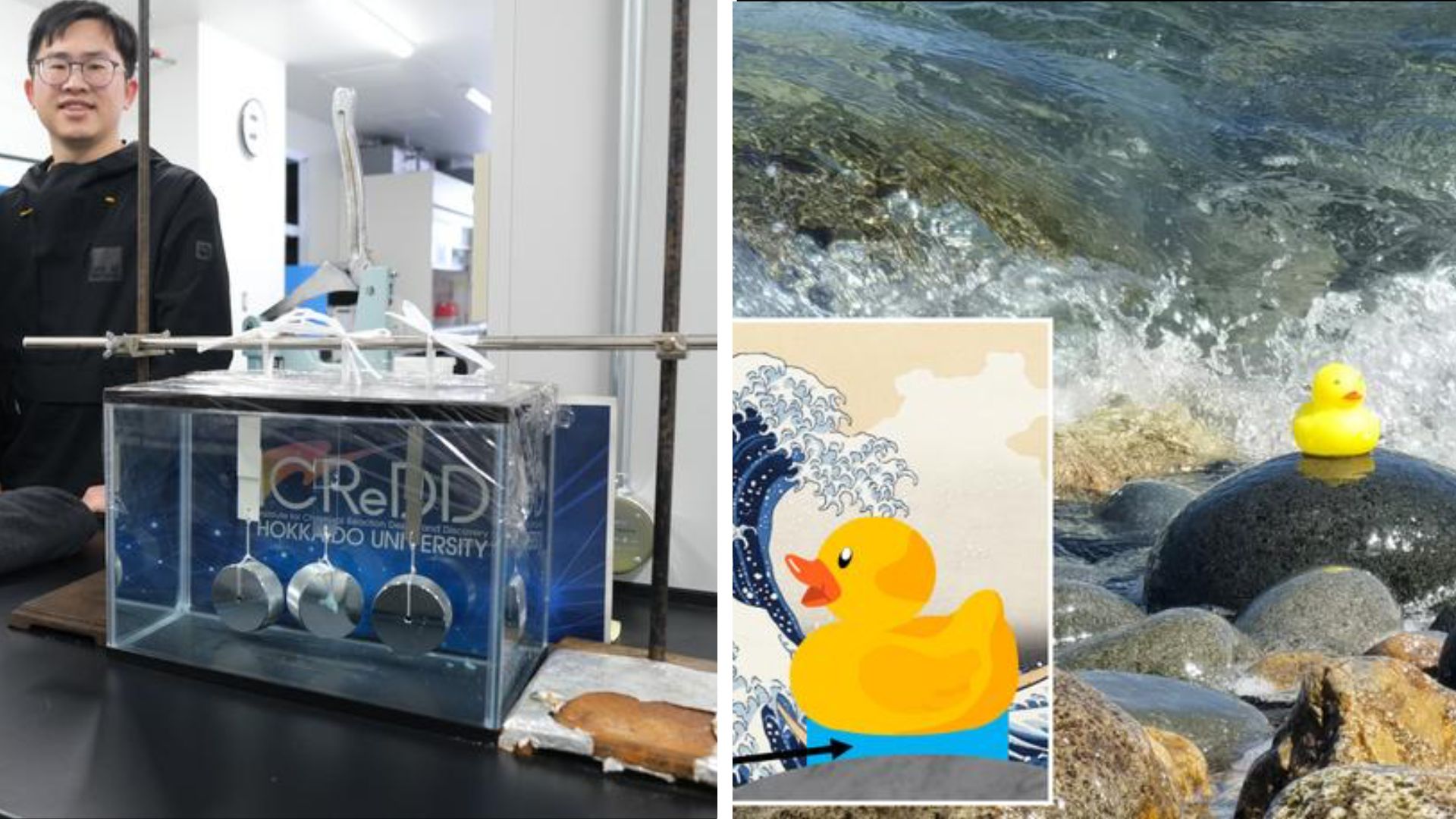 New super-strong hydrogel can help advance biomedical and marine tech