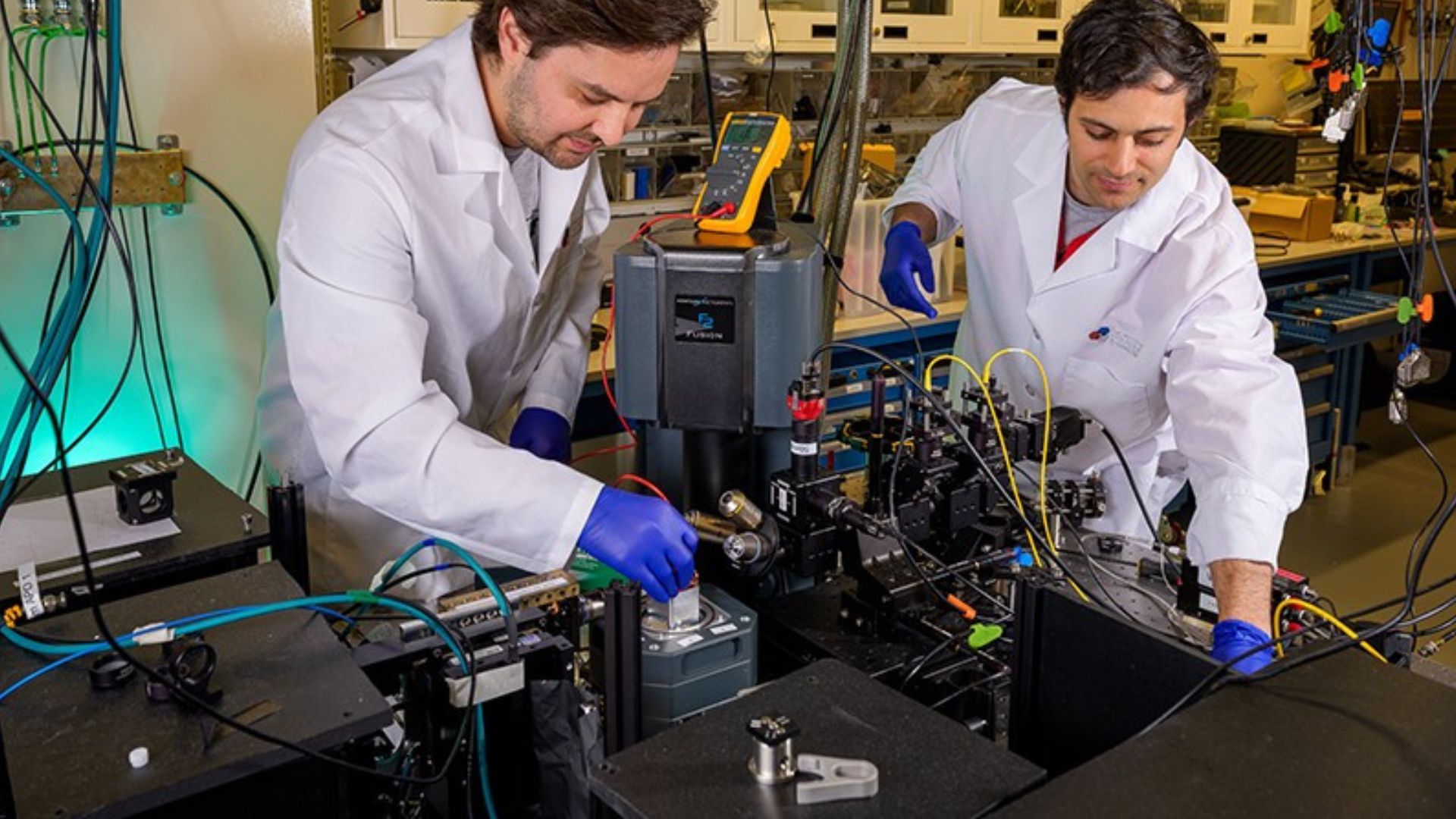 First protein-based quantum bit could change biological research