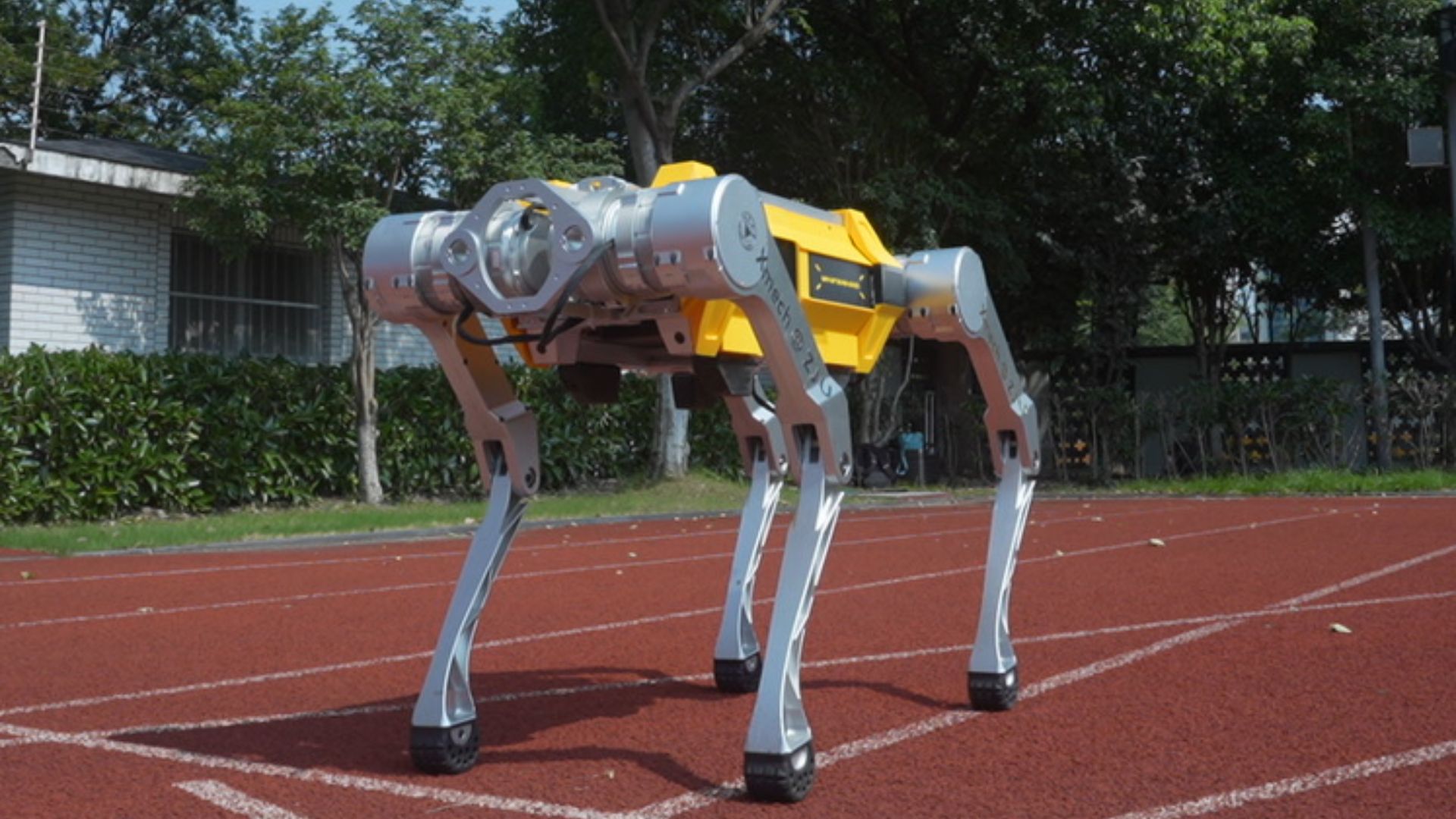 China’s robot dog sprints 328 feet in 16.33 seconds, breaks record
