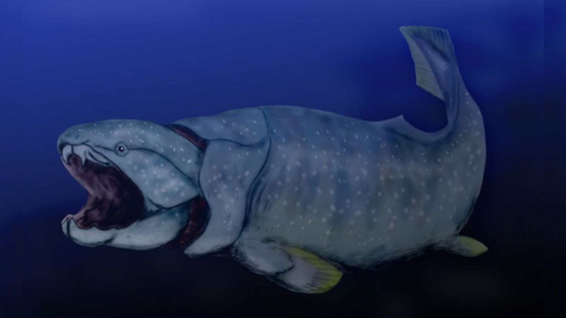 How rising ocean oxygen 390 million years ago reshaped evolution