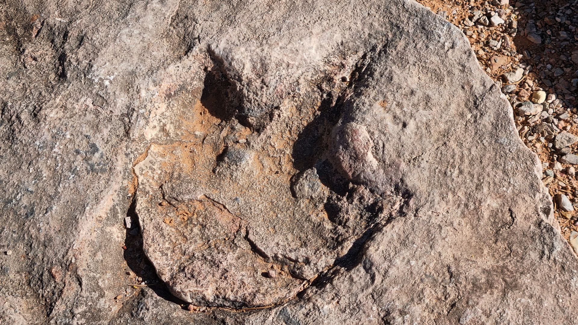 Dinosaur Footprints Discovered in Thai National Park