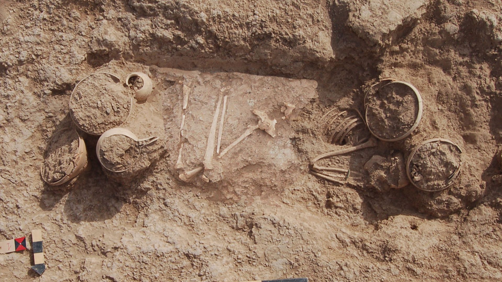 Rich Bronze Age grave from Iran hints ancient woman's power status