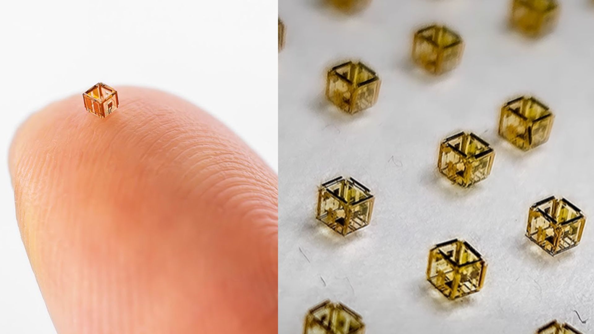 Microrobot Smartlet phối hợp dưới nước bằng tín hiệu ánh sáng