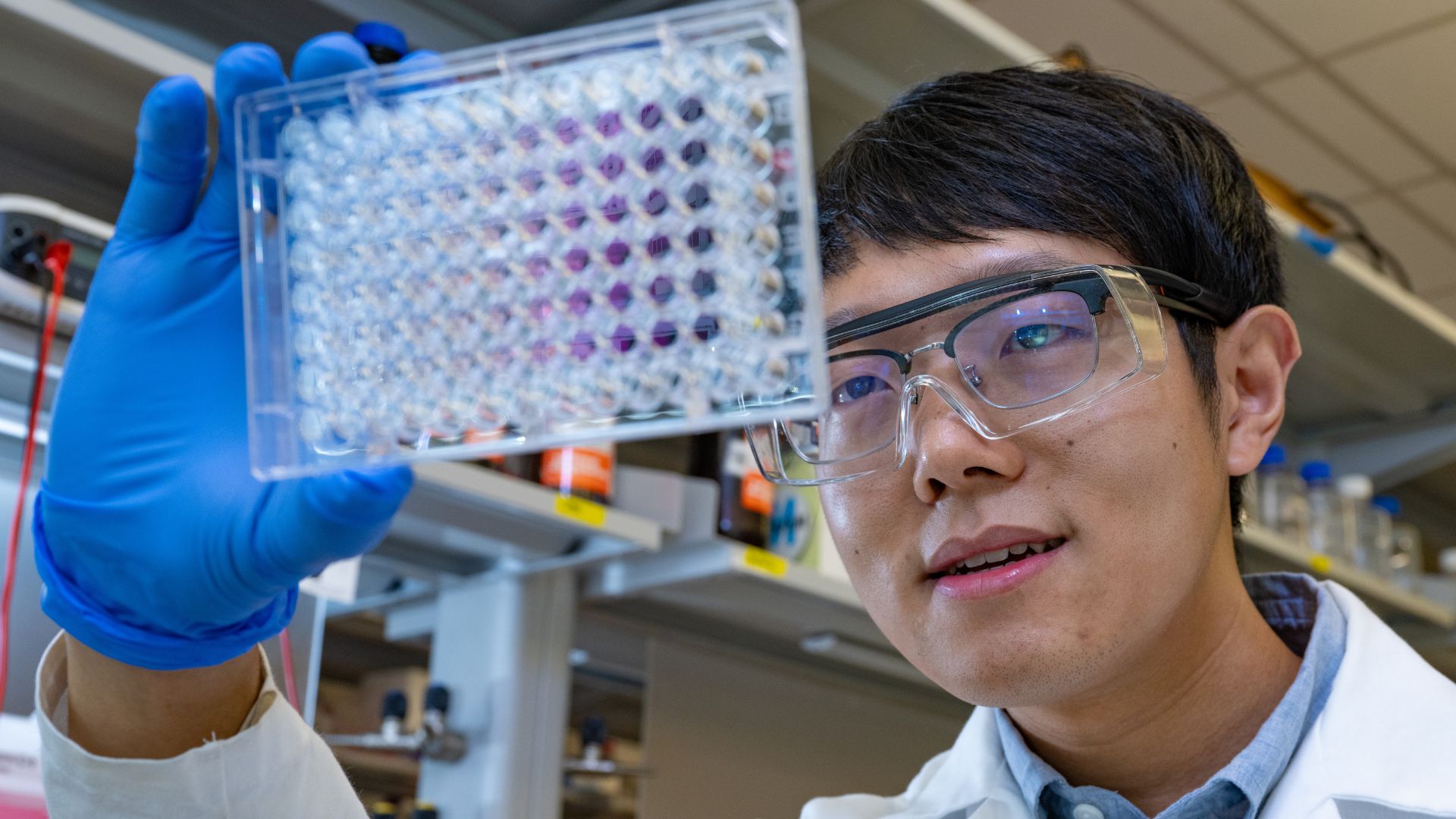 Vitamin K2 breakthrough could supercharge bone and heart health