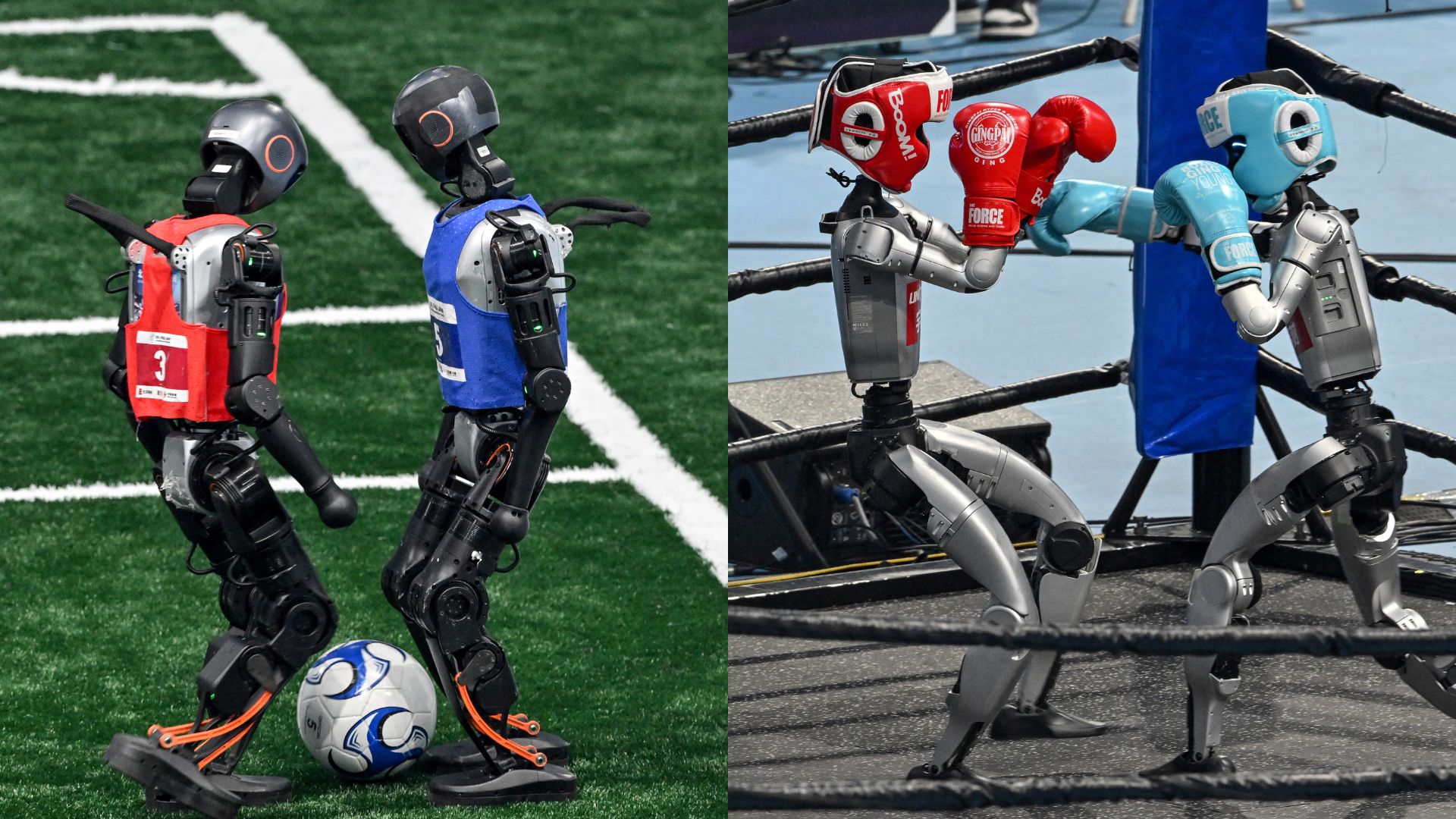 Machines compete in martial arts at World Humanoid Robot Games