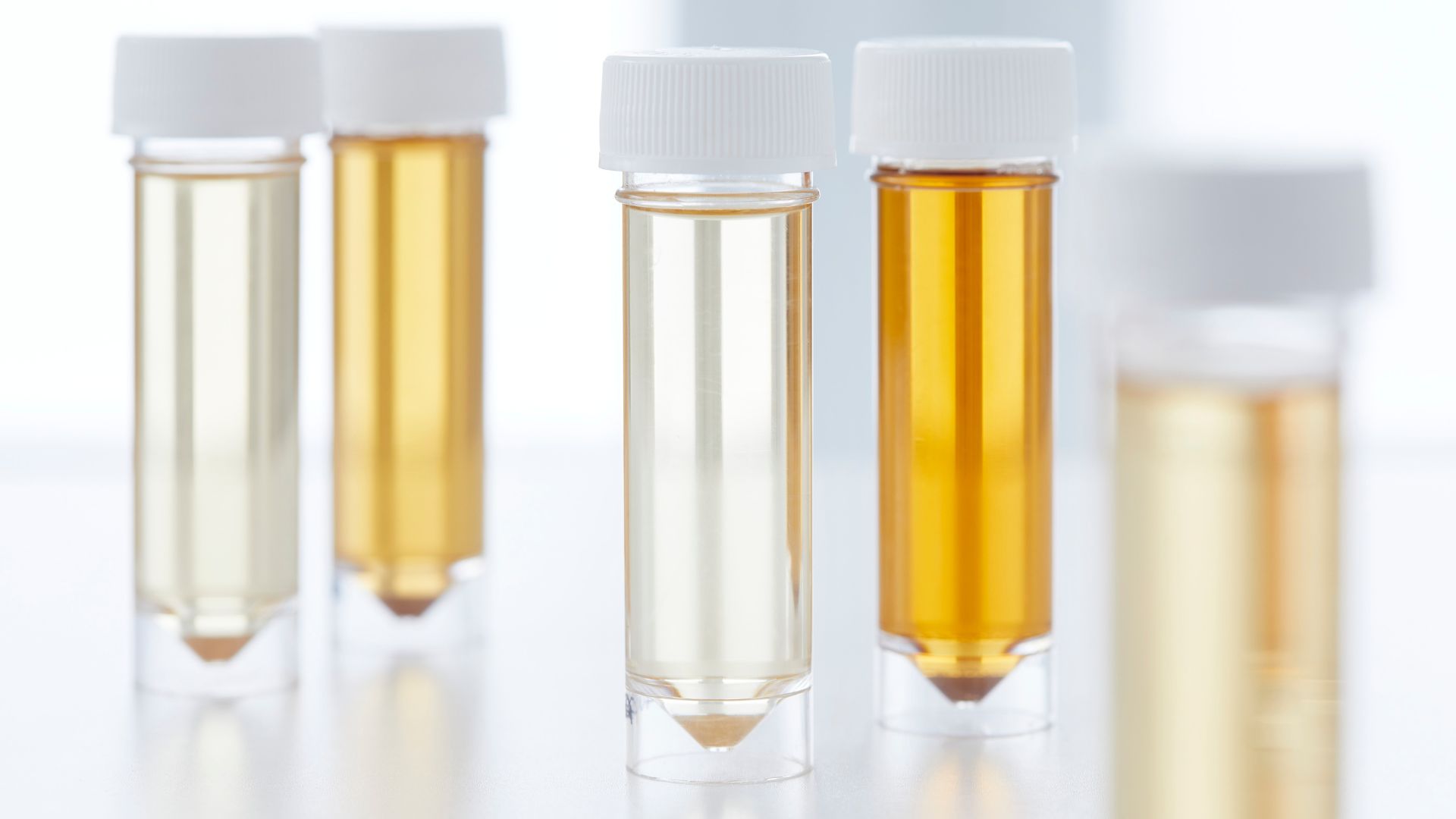 Solar reactor turns human urine into fertilizer, boosts energy 60%