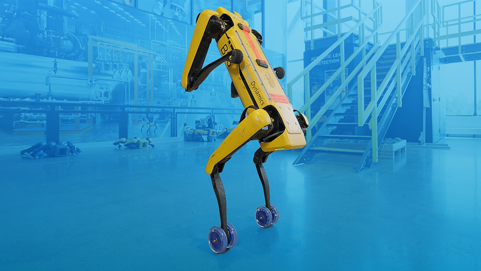 Chó Robot Được Huấn Luyện Để Nhào Lộn Ngửa