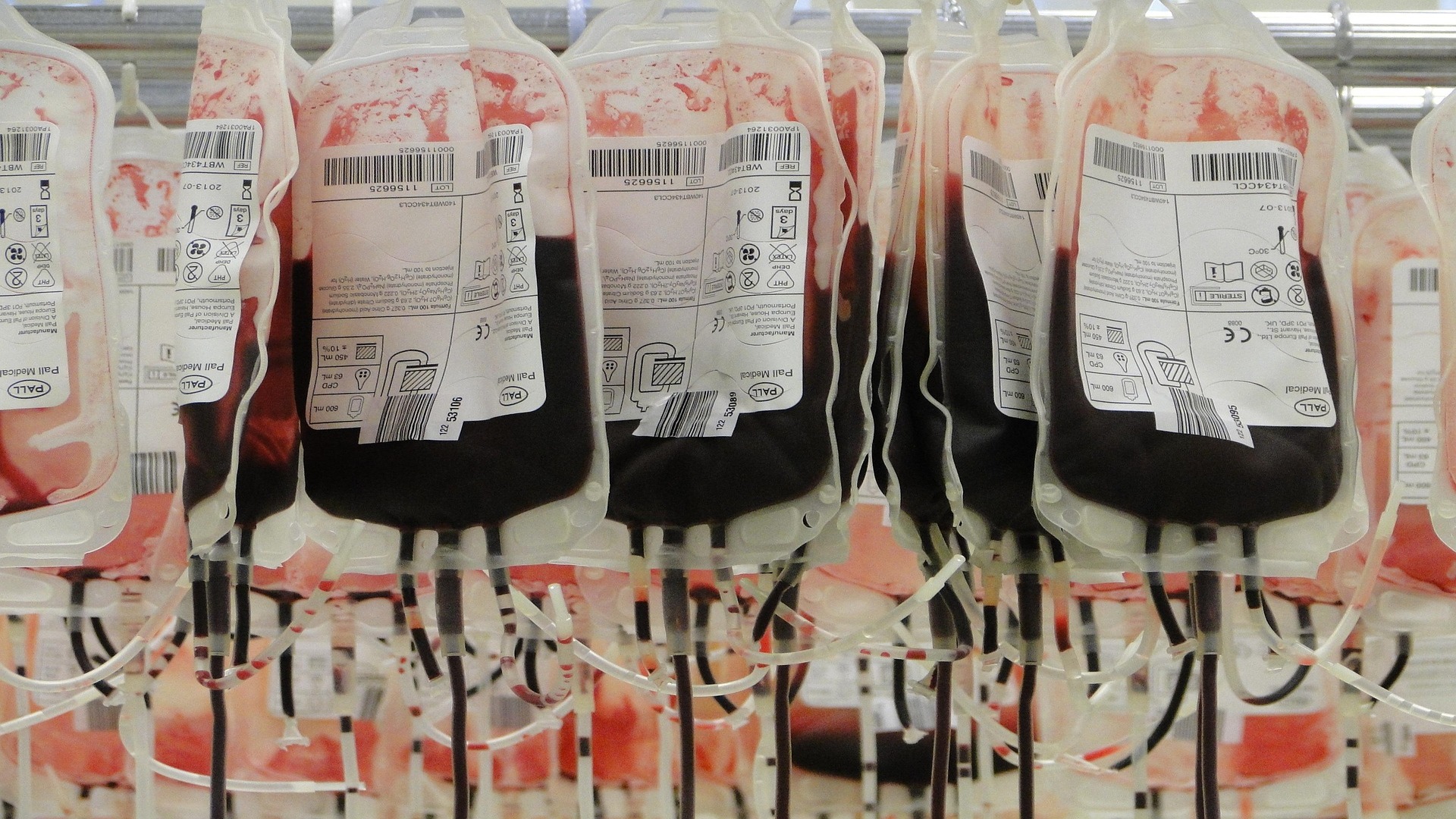 Aging skin can be made youthful with young blood