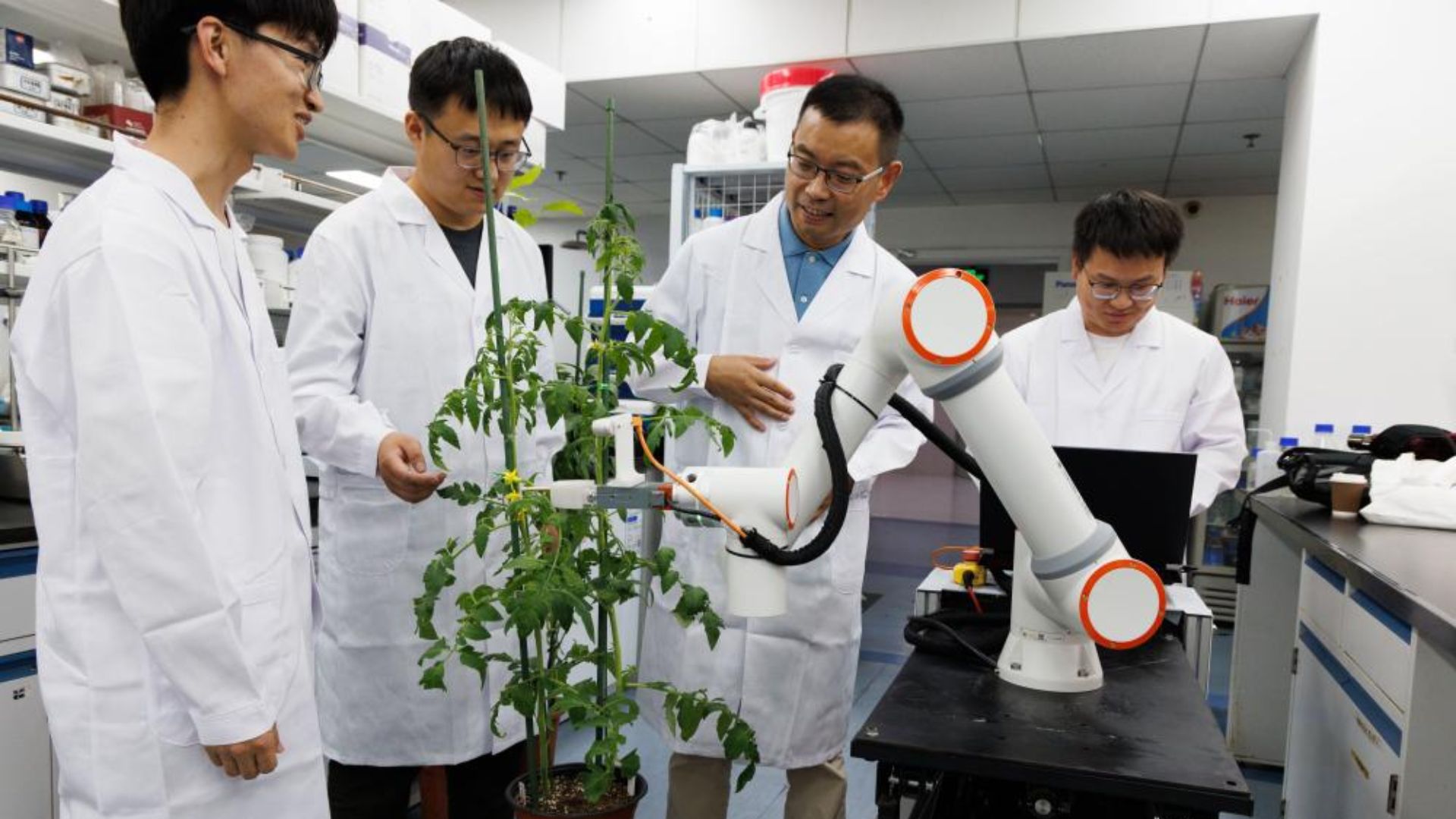 China unveils world's first autonomous robot for hybrid pollination