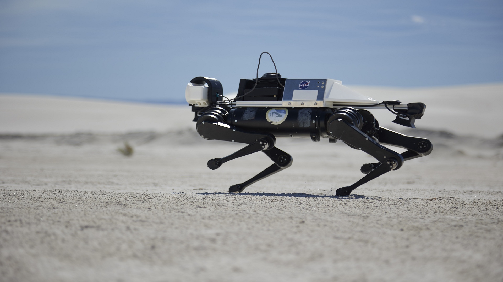 Chó robot huấn luyện trên các cồn cát White Sands cho cuộc thám hiểm sao Hỏa trong tương lai
