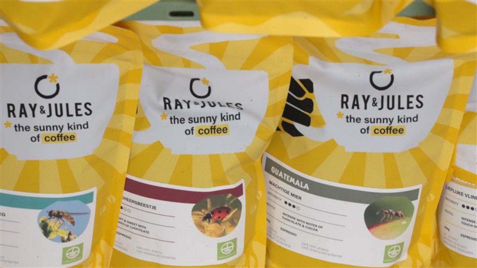 Coffee roasting techniques: The hidden secret to eco-friendly beans