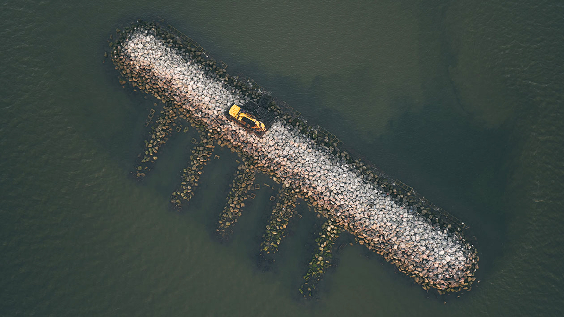 How engineers are reinventing coastal protection
