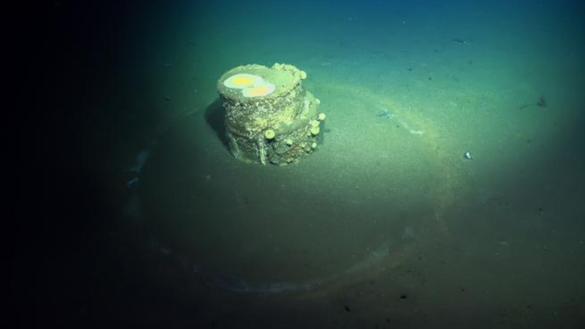 Leaking alkaline from decades-old US sea barrels created ghostly halos