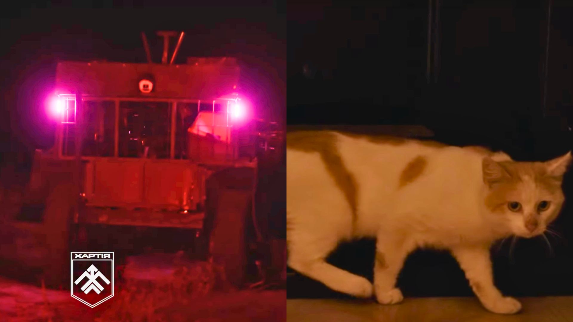 Ukrainian troops deploy ground robot to rescue cat from frontline