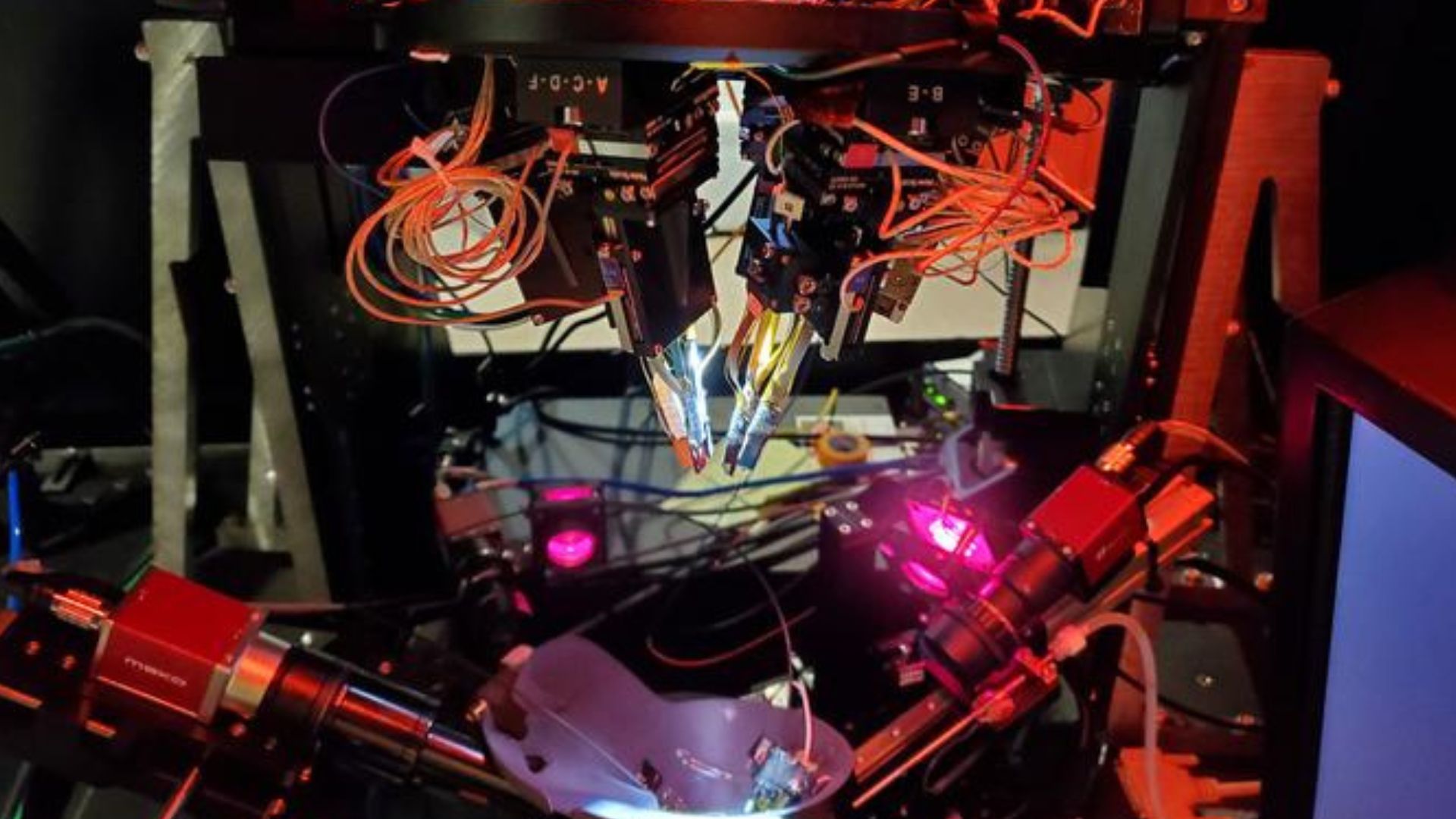 Laser research reveals how brain cells create illusions