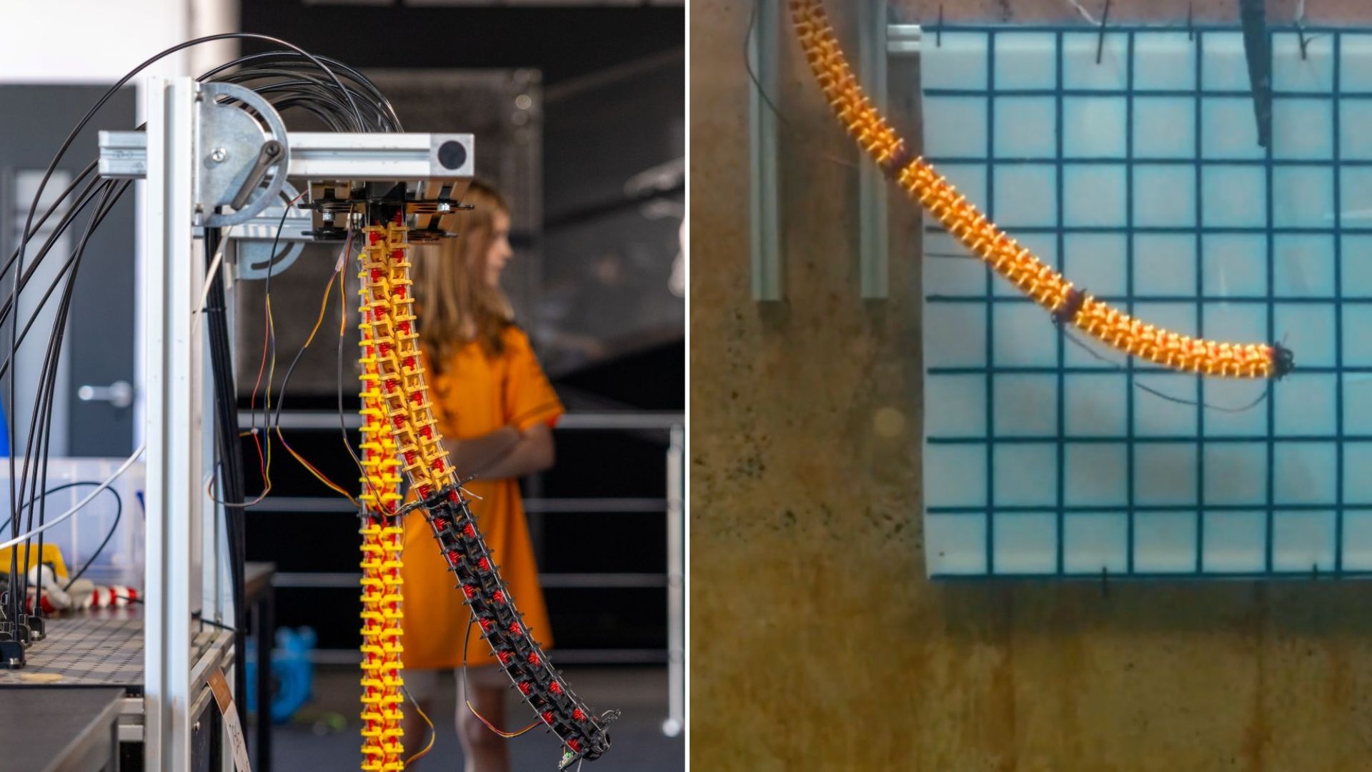 Snake-like robot with tentacles set to transform offshore subsea jobs