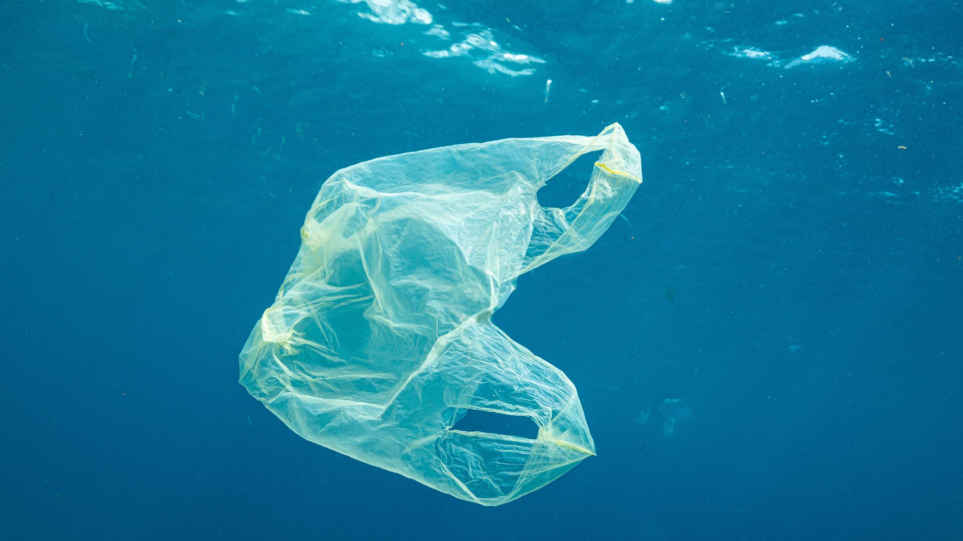 From trash to tech: Plastic bags now help monitor drinking water safety