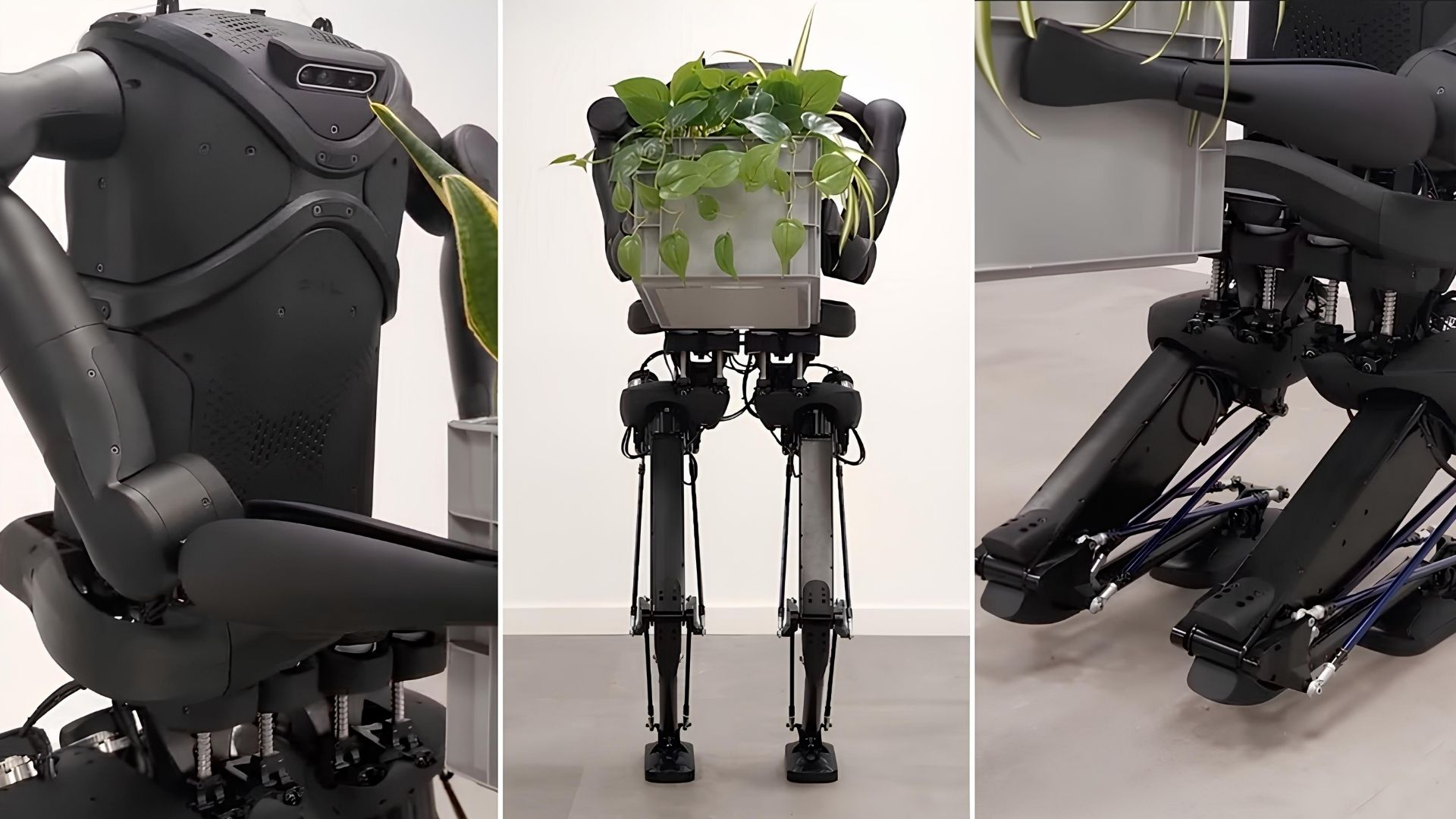 Xem robot hình người Kangaroo di chuyển nhanh nhẹn, ngồi xổm với một chiếc hộp nặng