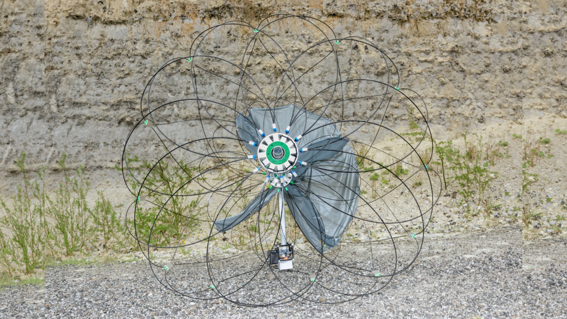 Wind-driven tumbleweed rovers could roll up to 1,740 miles on Mars