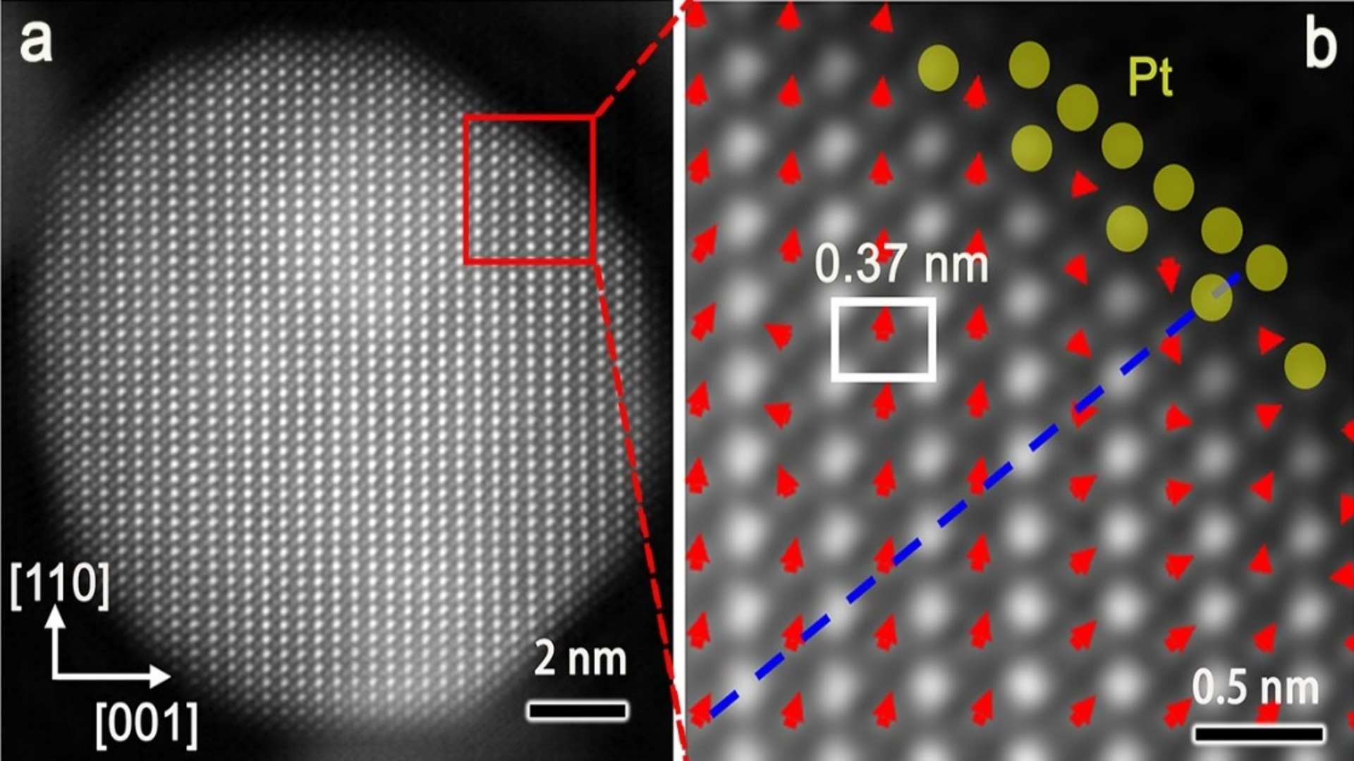 High-resolution transmission electron microscopy (HRSTEM) revealed the core-shell structure of the catalyst.