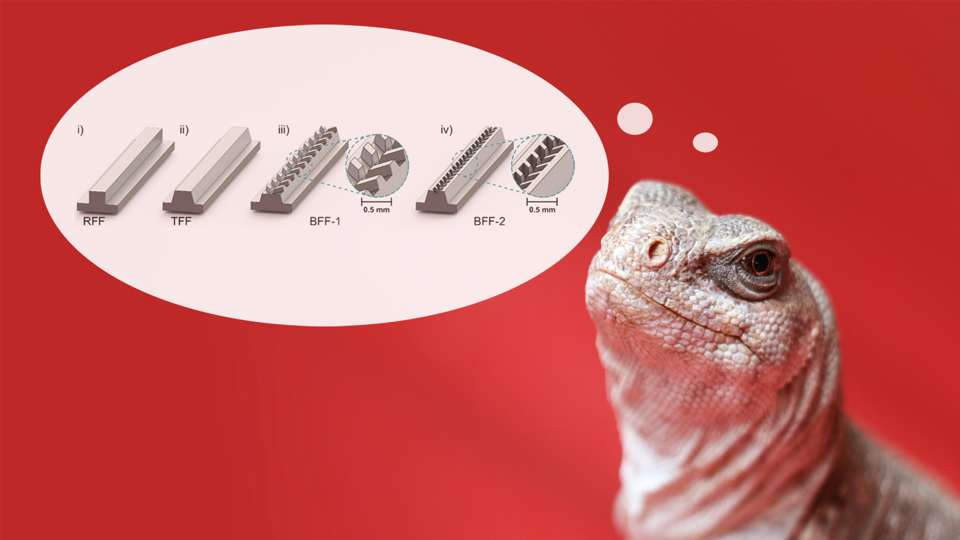 Lizard-inspired flow field plates improve hydrogen fuel cell power density