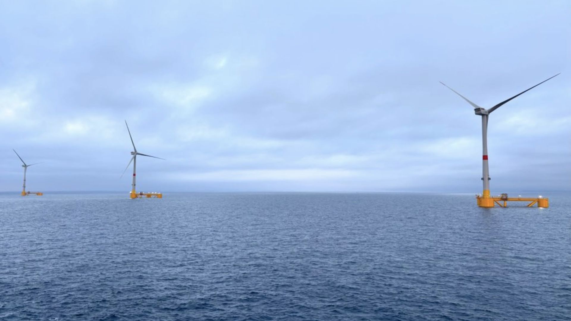 World's first nature-inclusive 30 MW floating wind farm launched
