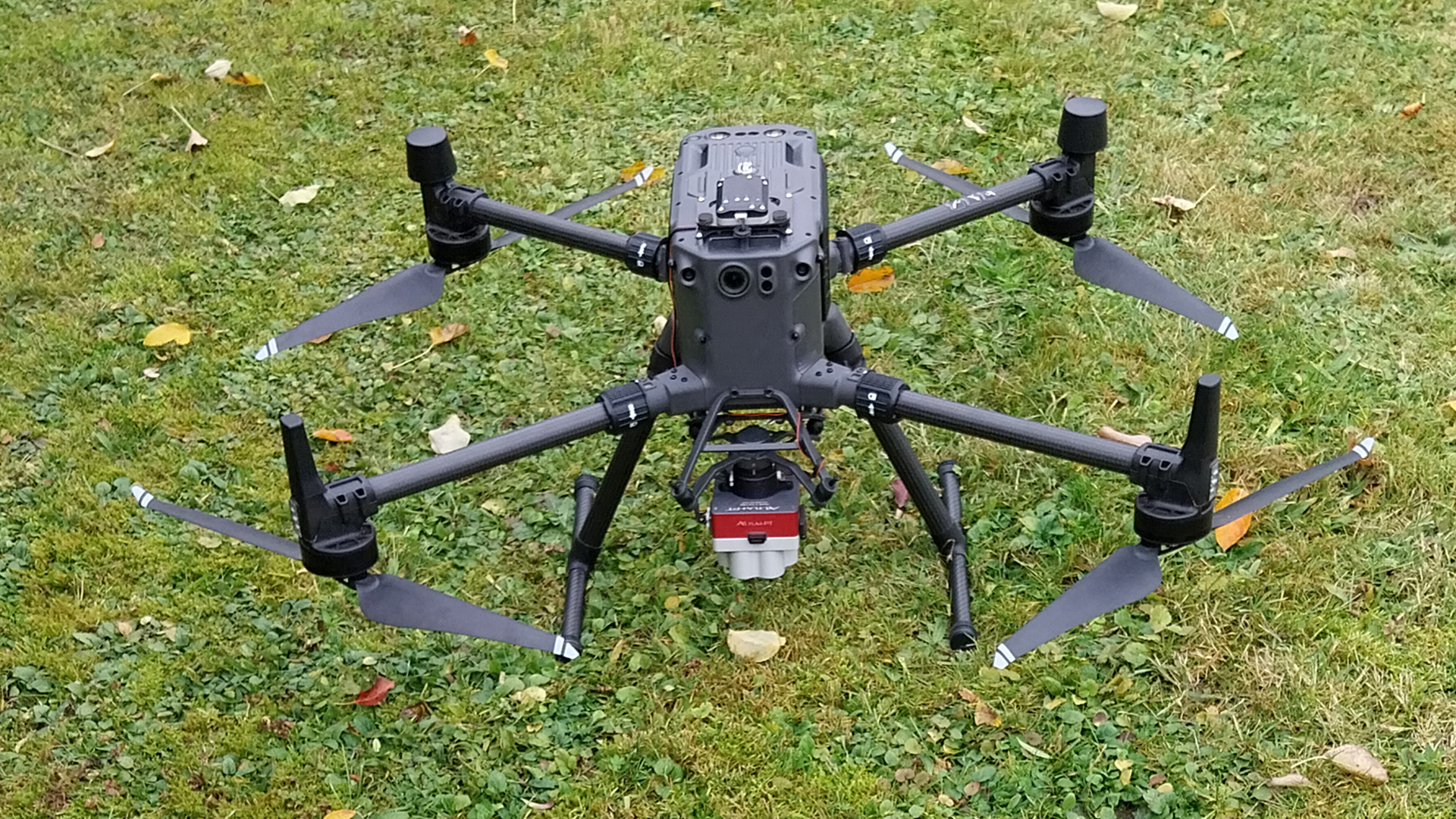 'Drone knights' protect 200-year-old trees from drought in Germany