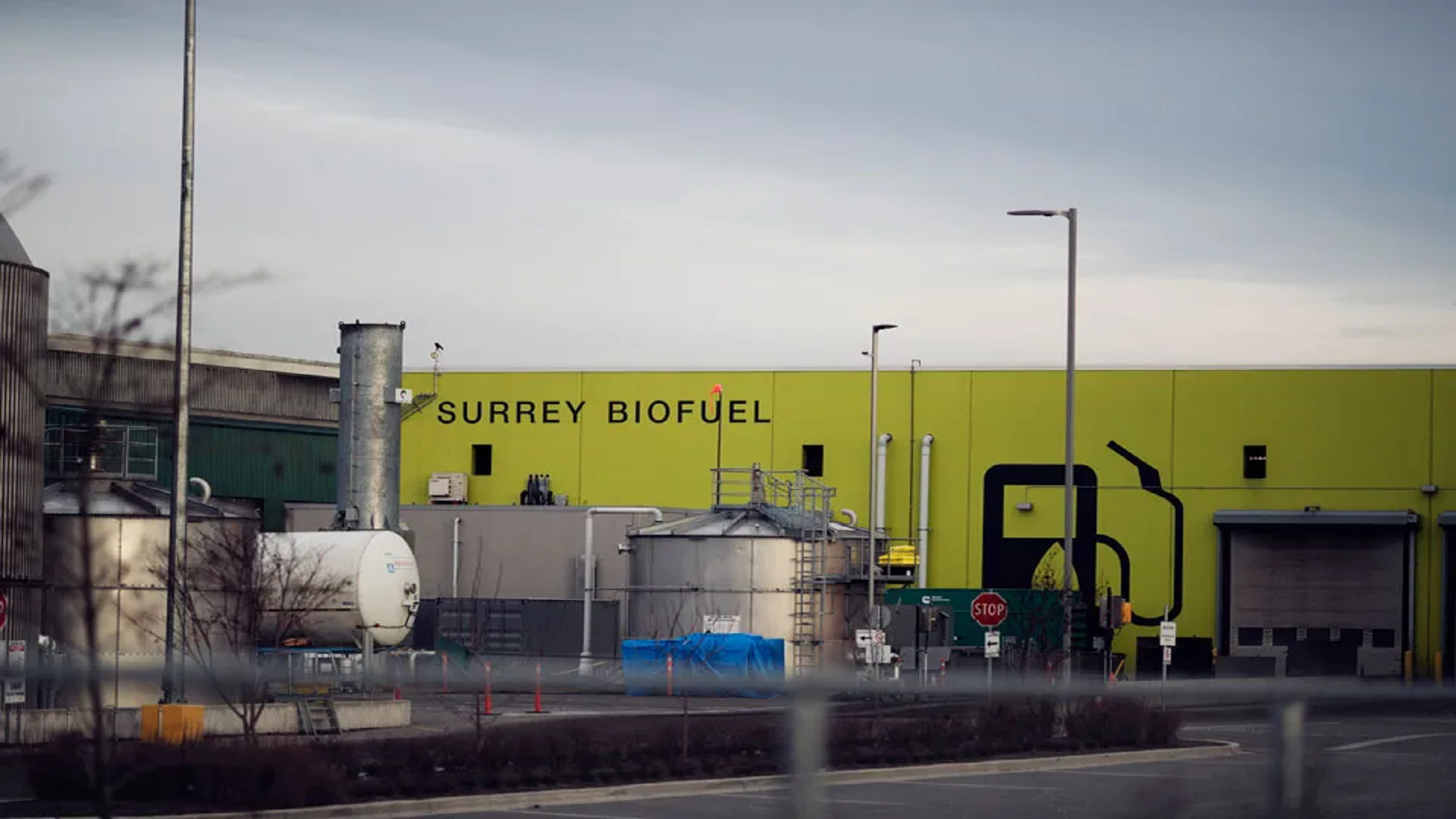 Bacteria from food leftovers turn waste into renewable natural gas