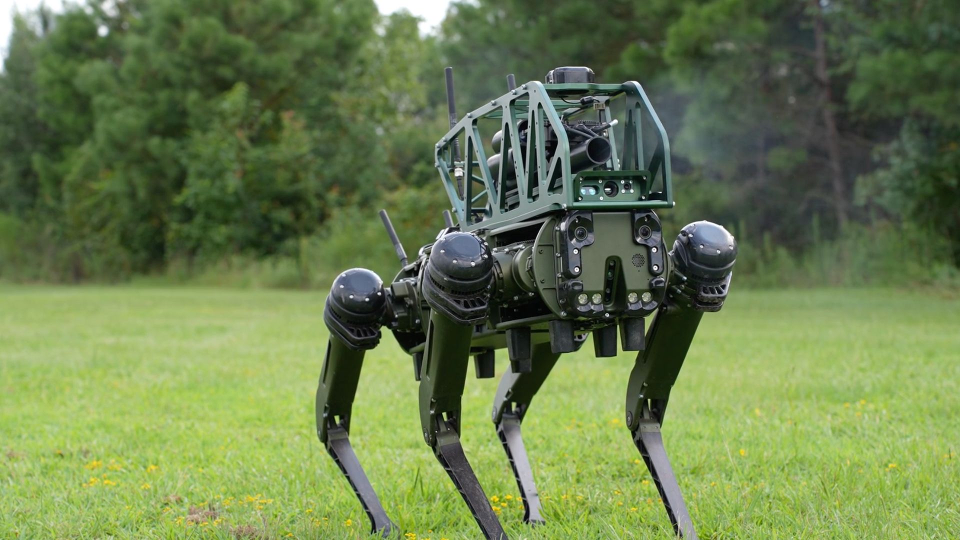 ‘World’s first’ war-ready robot dog that fires grenades unveiled