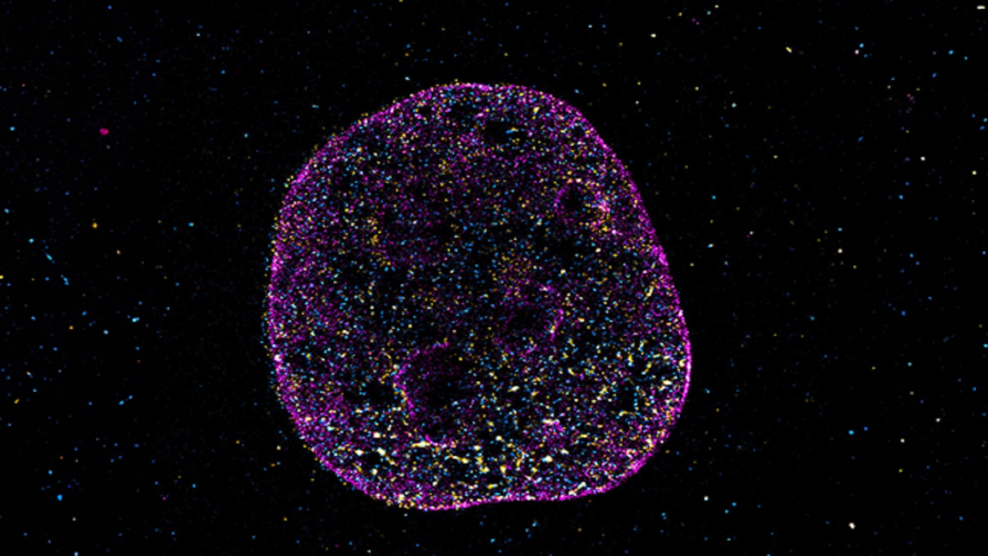 Các nhà khoa học phát hiện mã hình học ẩn định hình cách hoạt động của DNA người
