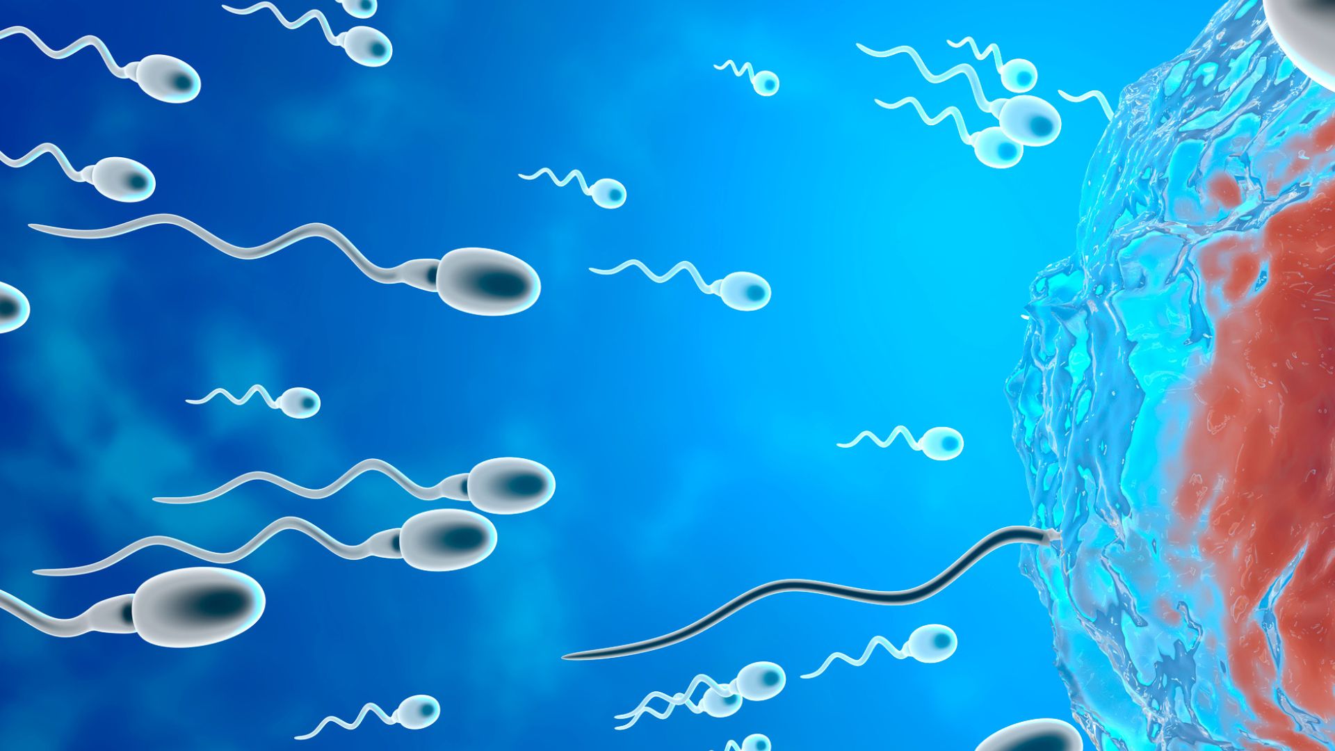 Columbia University reports first pregnancy using AI sperm recovery