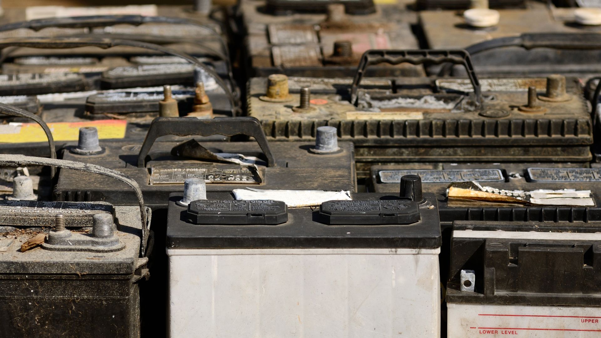 New battery waste-eating bacteria offers self-sufficient recycling