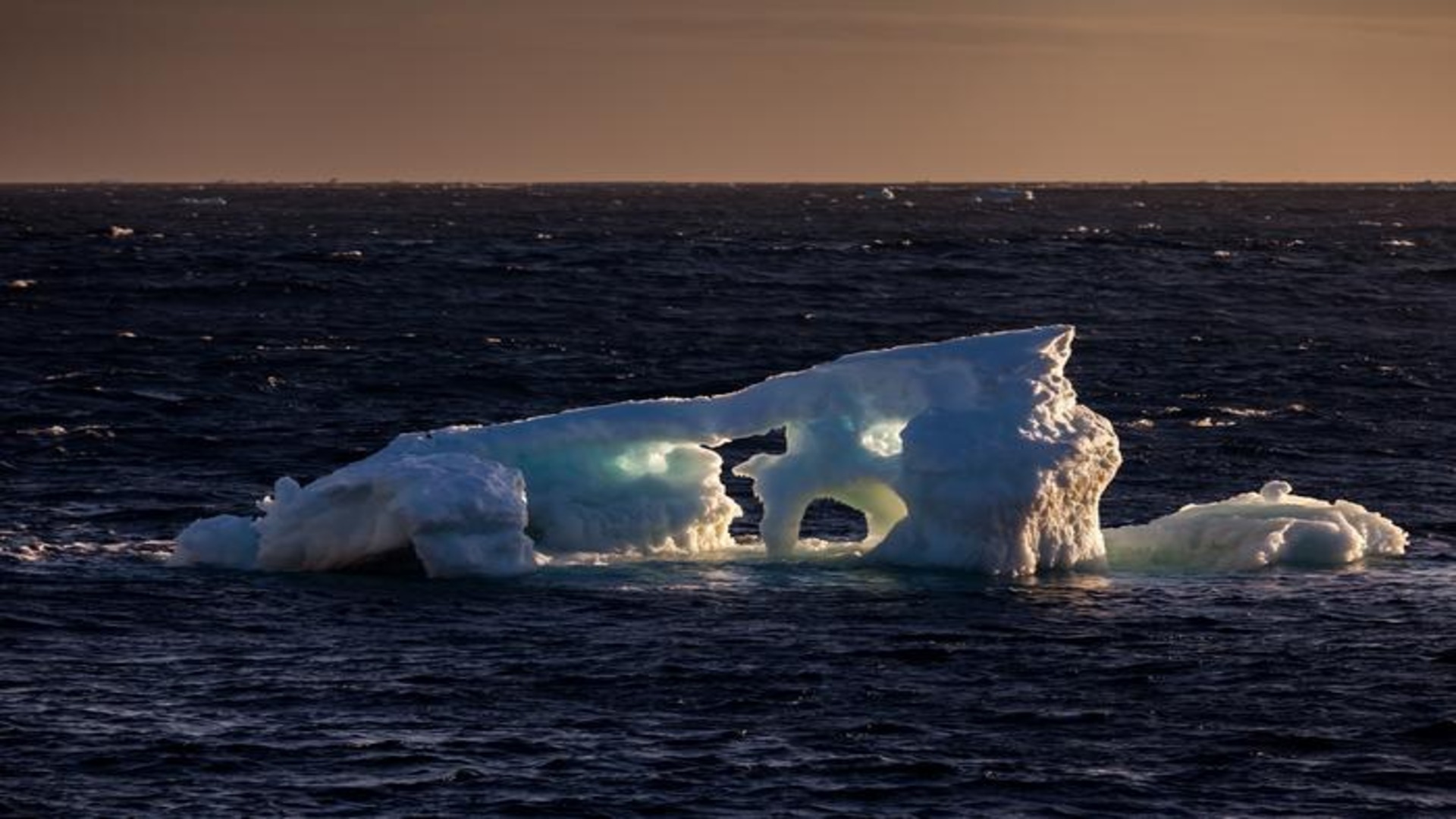Melting ice protects Antarctica's ocean against carbon disaster: Study
