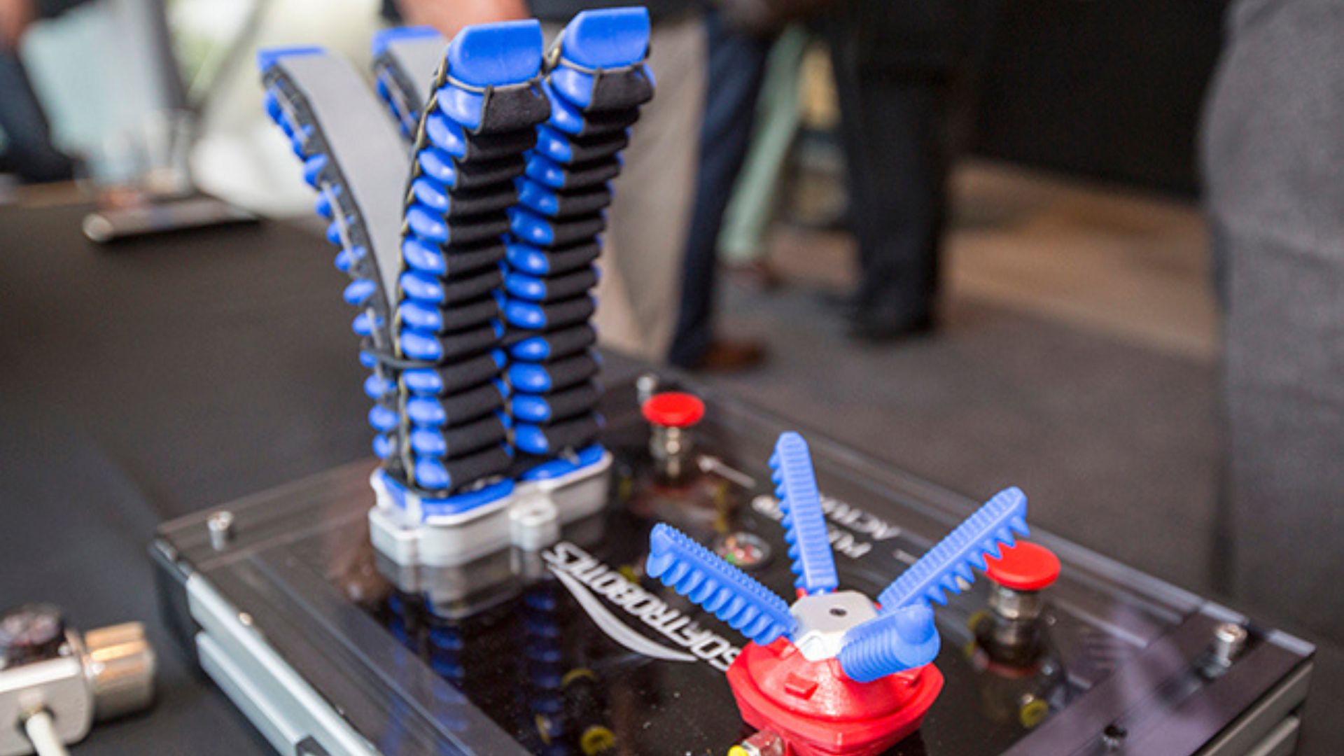 Venom-inspired soft robot shapeshifts, stretches, and swings with ease