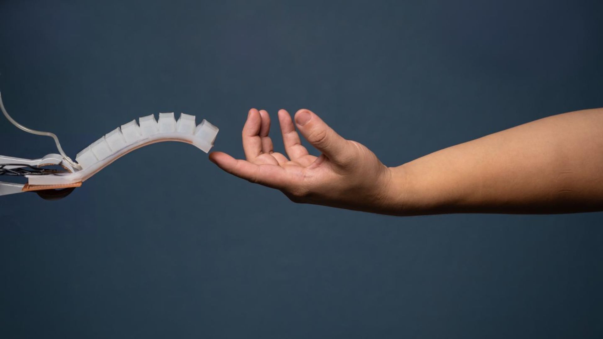 Programmable soft materials unlock asymmetric motion for next-gen robot designs