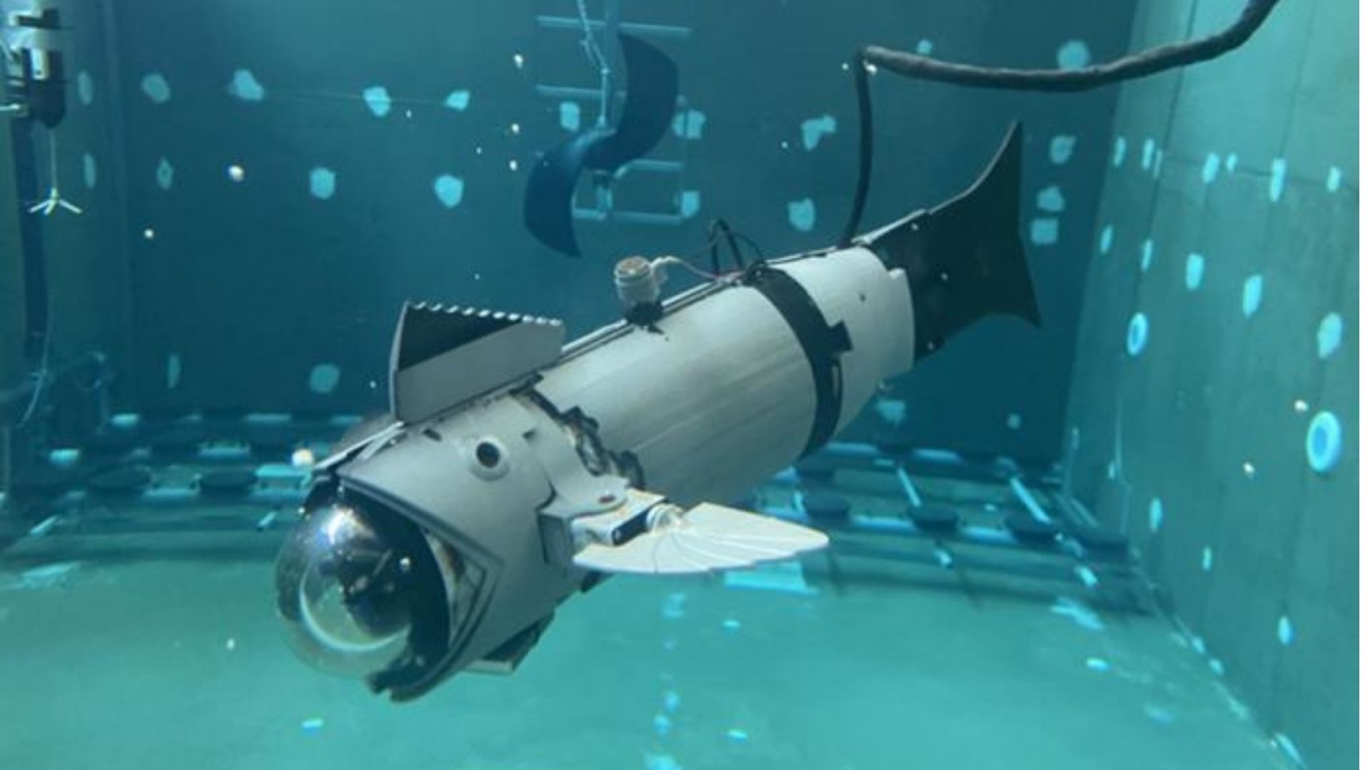 Award-winning robot fish deploys sensors to boost sustainability in fish farms